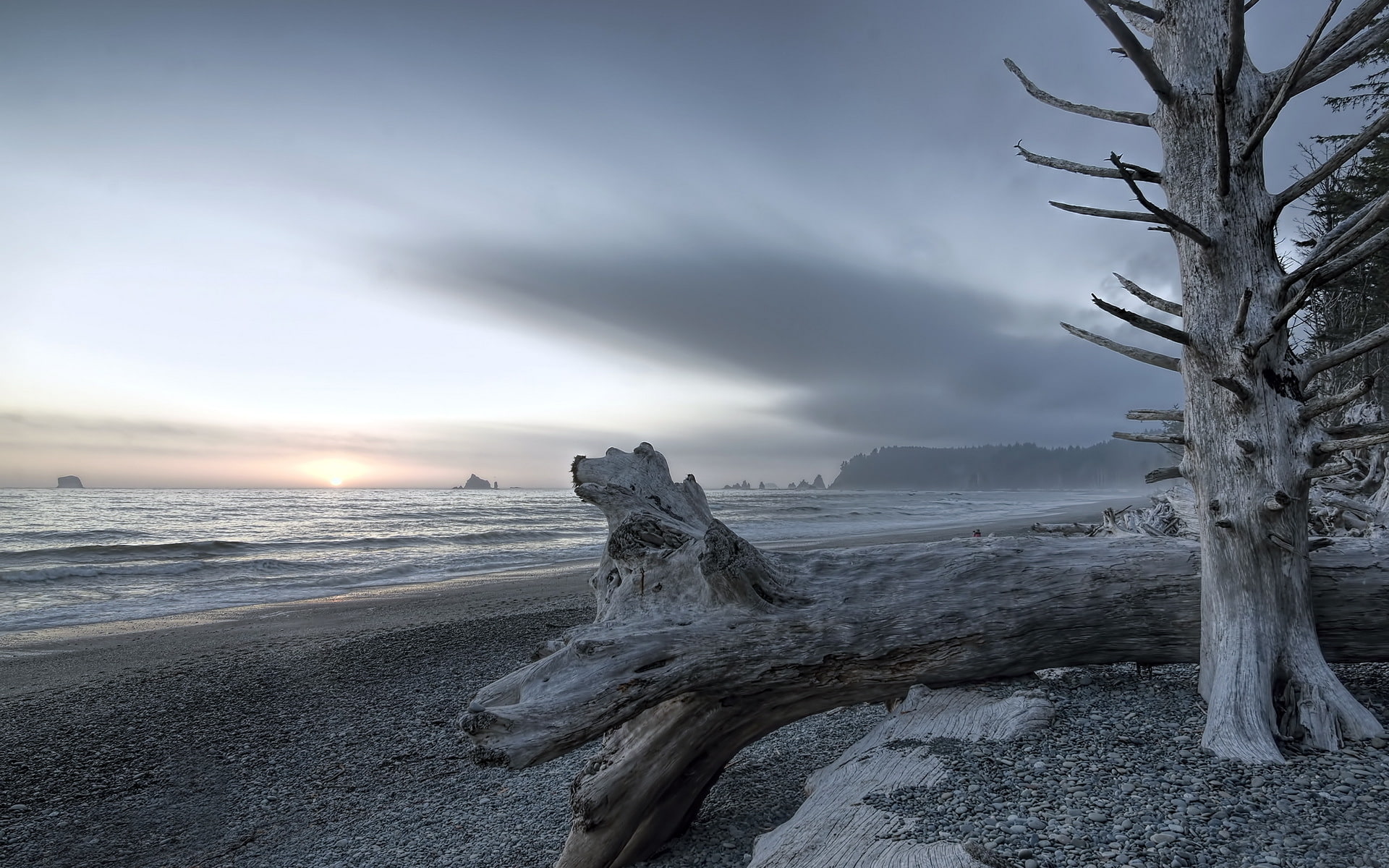 1080P, landscape, Olympic National Park, Rialto Beach, HD Wallpaper