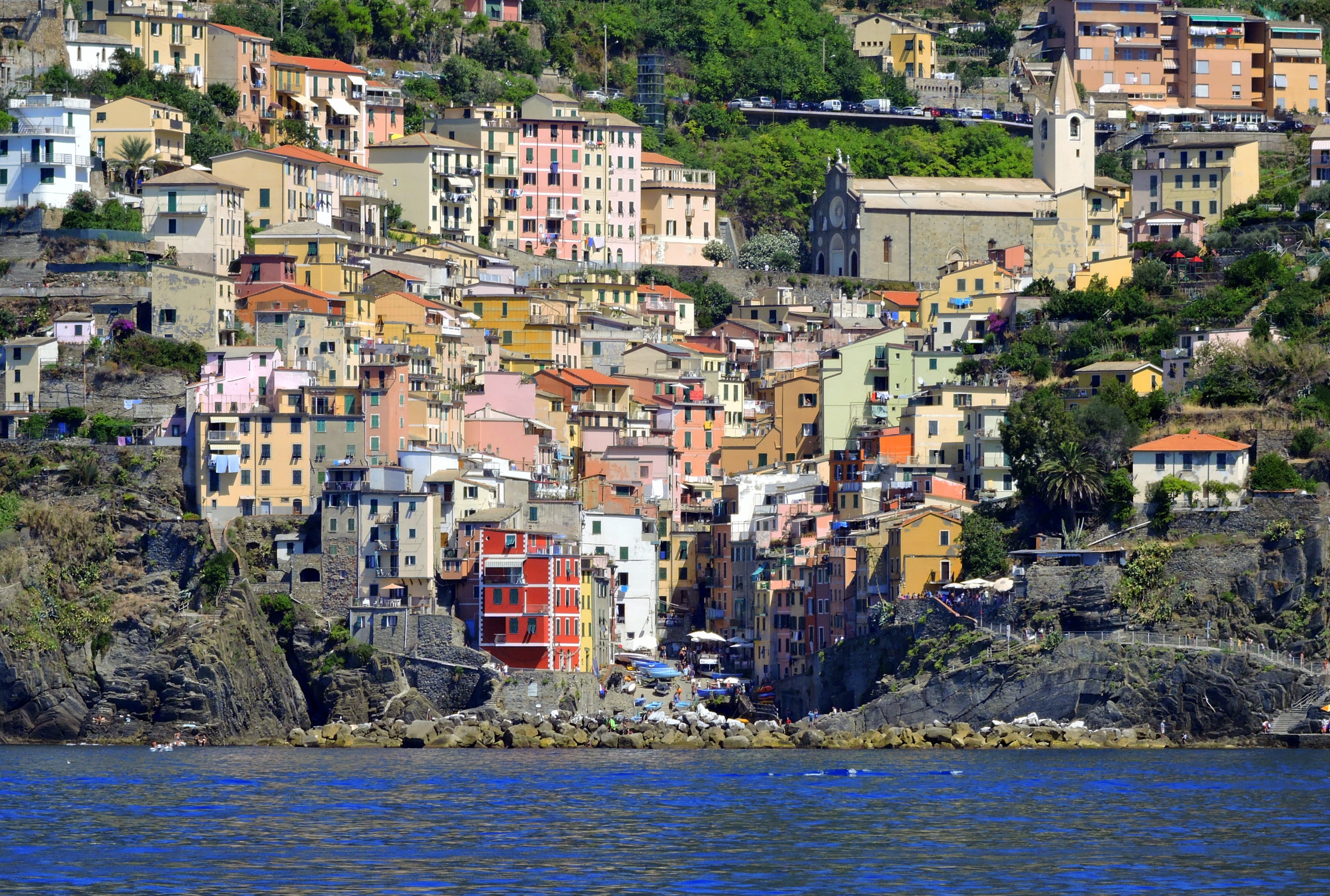 tree, townscape, liguria, house, day, colors, architecture, plant, waterfront, nature, 4K, houses, built structure, community, cinque terre, crowded, residential district, HD Wallpaper