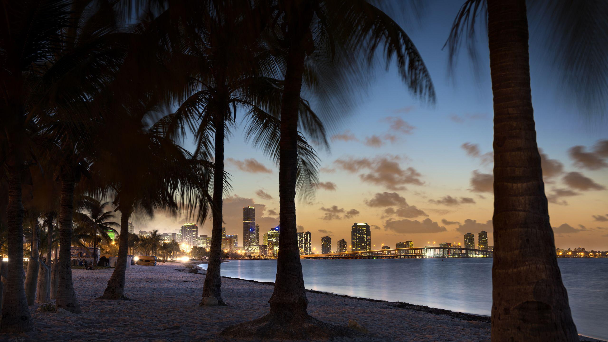ocean, city, time, palm, body, cityscape, trees, image, 2K, night, 2560x1440, near, world, water, silhouette, tropical, HD Wallpaper
