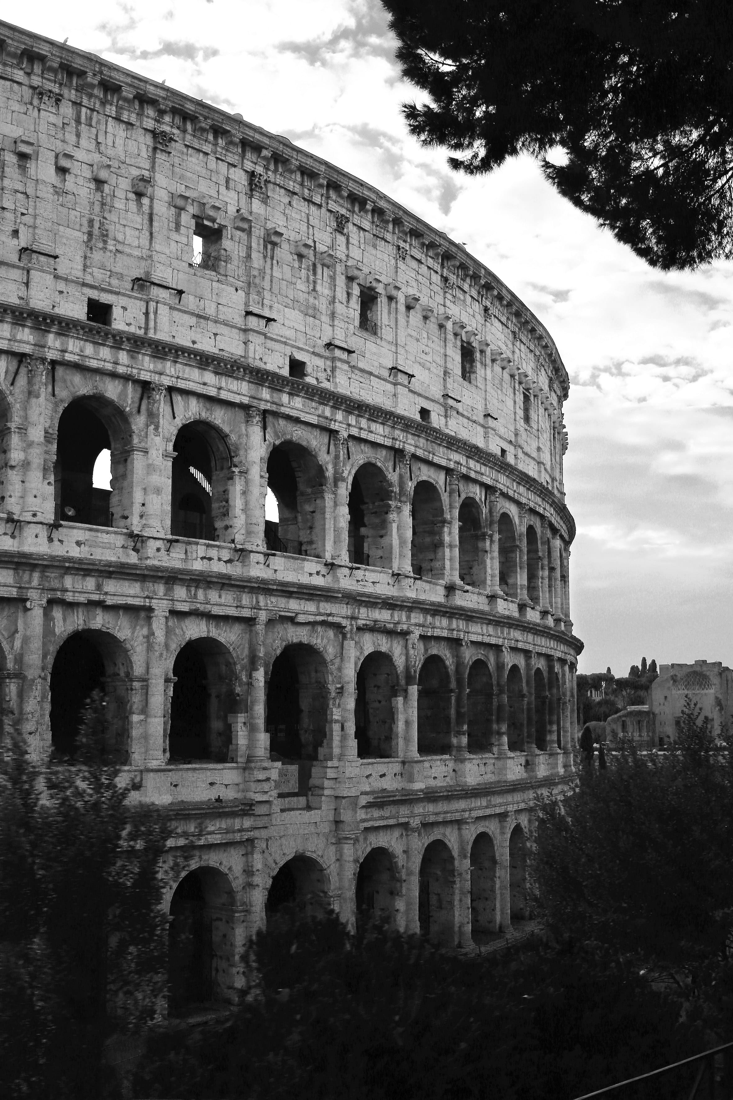 architecture, history, rome, sky, roman, trees, cloud - sky, ancient civilization, building, built structure, travel destinations, stadium, arched, ancient, Phone HD Wallpaper