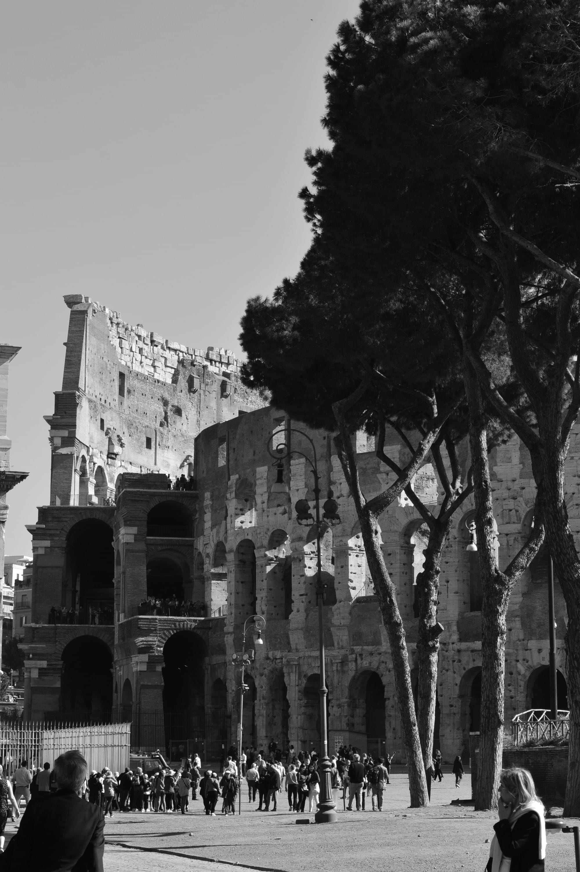 group of people, real people, travel destinations, italy, colosseum, built structure, outdoors, lifestyles, men, crowd, rome, history, building exterior, Phone HD Wallpaper