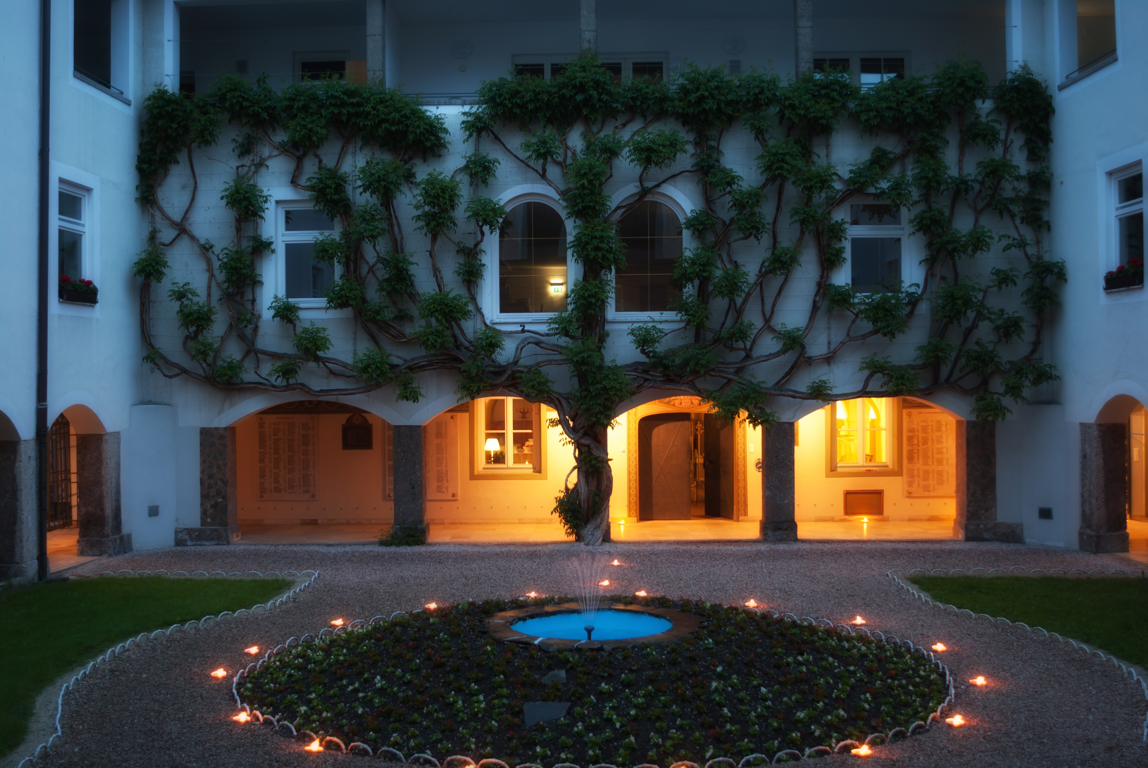 street, white, built structure, vine, motion, plants, fountain, building, illuminated, residential district, city, hotel, lighting equipment, ivy, architecture, HD Wallpaper