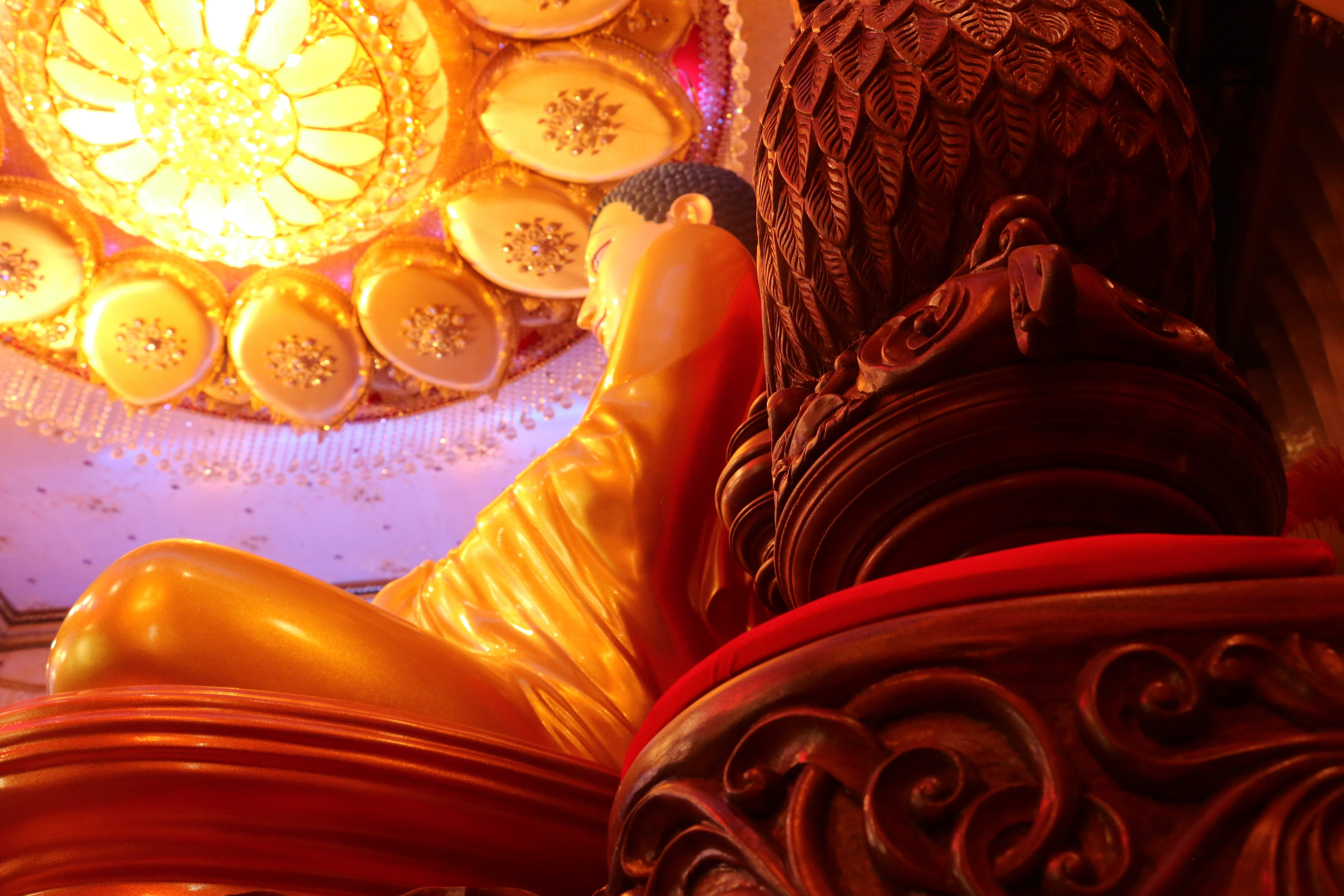 worship, asia, architecture, light, floral pattern, meditation, human representation, no people, meditating, 5K, traditional, indoors, belief, budda, built structure, HD Wallpaper