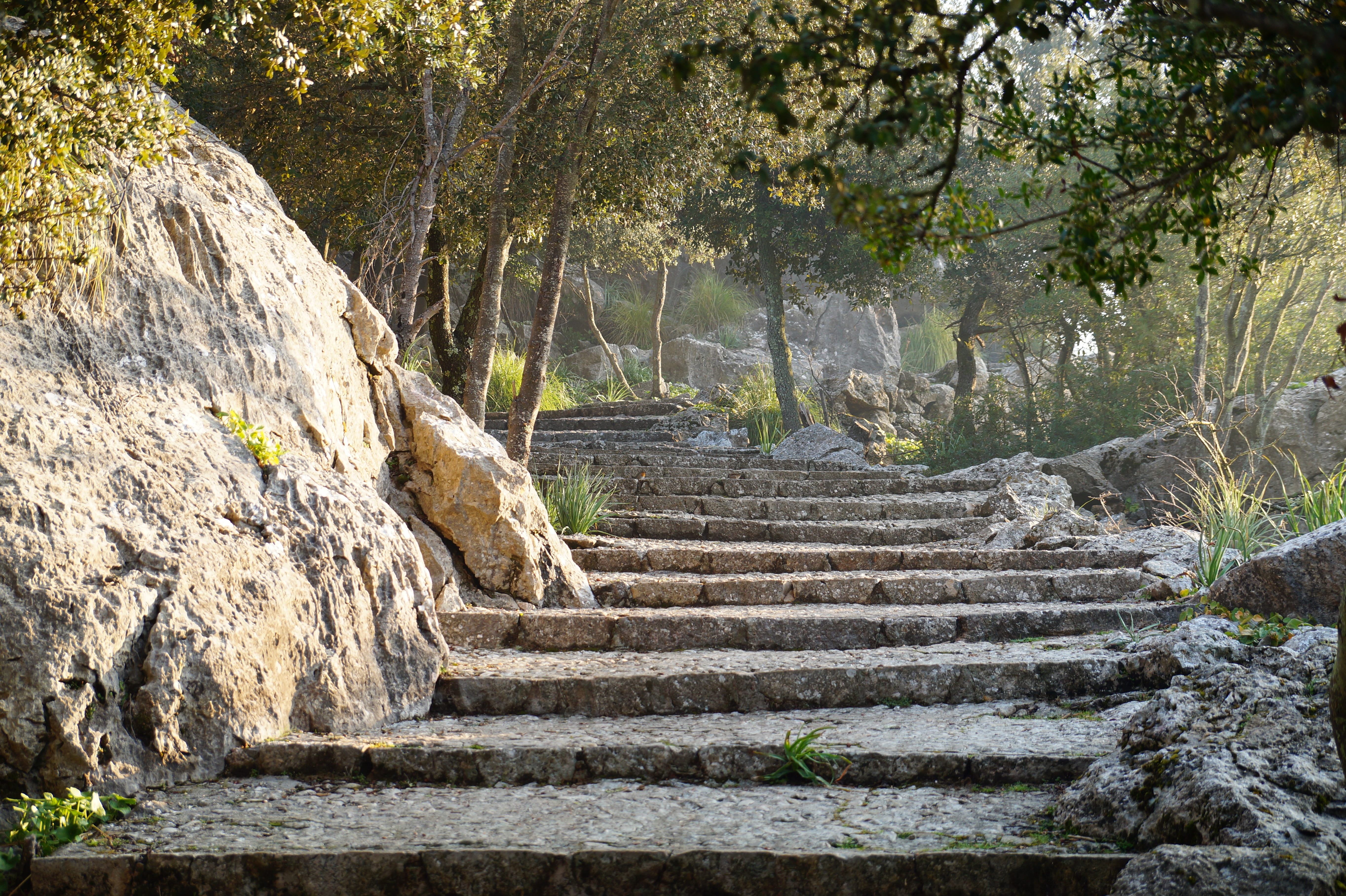 outdoors, concrete, rise, migratory path, hike, steps and staircases, staircase, rock - object, ancient, the way forward, solid, tranquility, near, land, HD Wallpaper