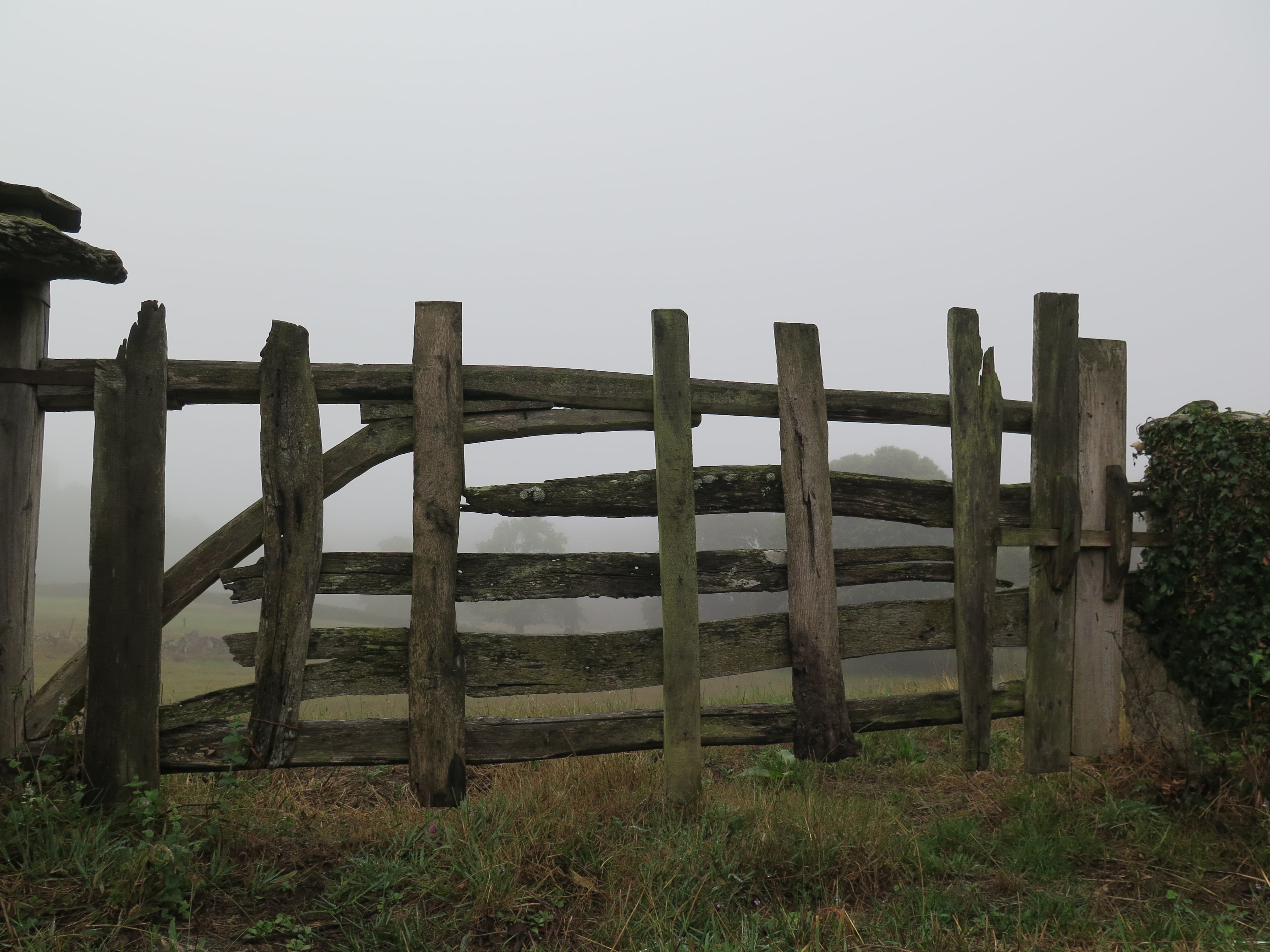 xacobeo, santiago compostela, fence, no people, pilgrim, travel, spain, walk, way, cross, pilgrimage, barrier, compostela, de, james, camino, wood - material, HD Wallpaper