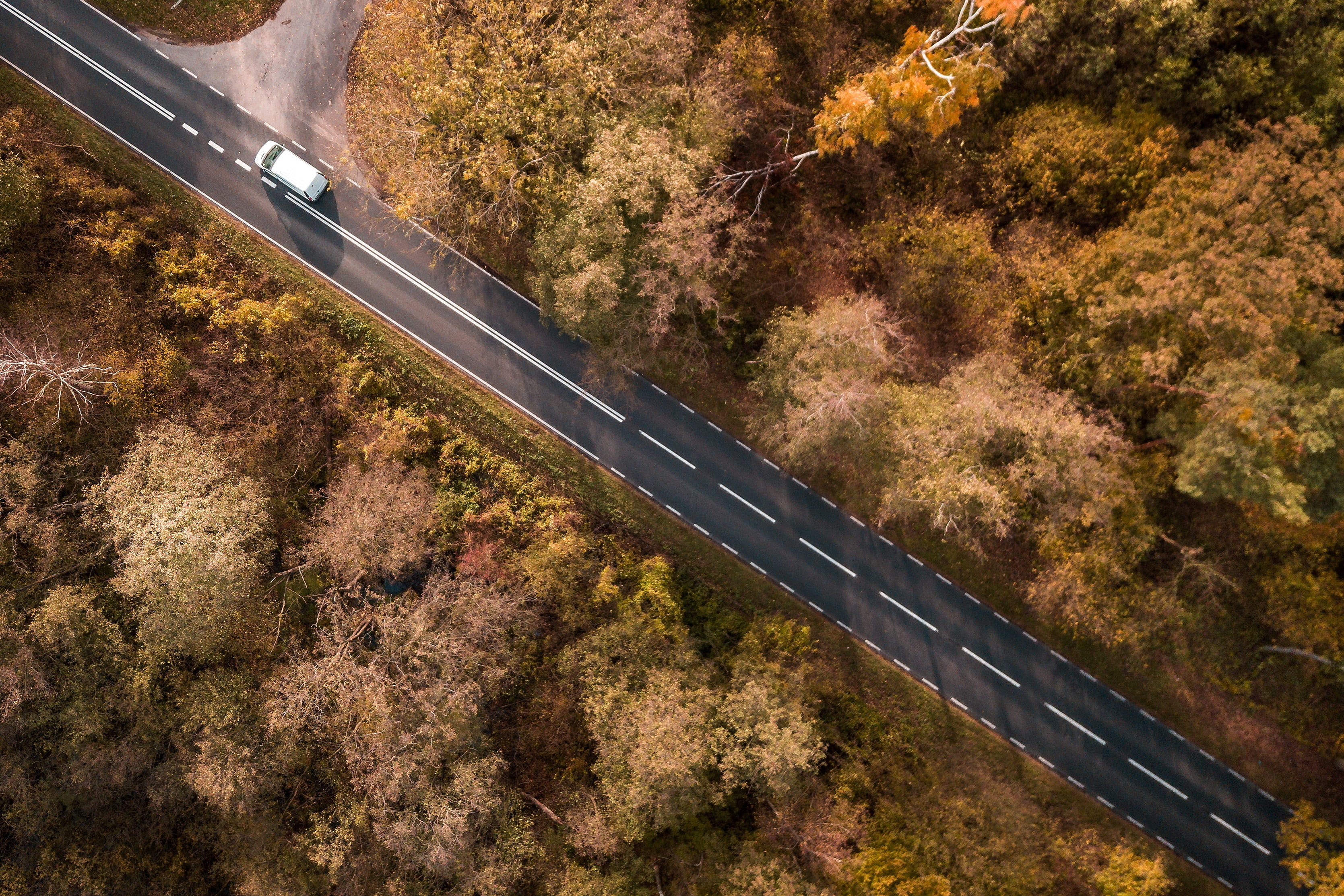 forests, metal, street, road, aerial, connection, 2K, lake, symmetry, plant, day, bird species, autumn, poland, high angle view, motor vehicle, forest, HD Wallpaper