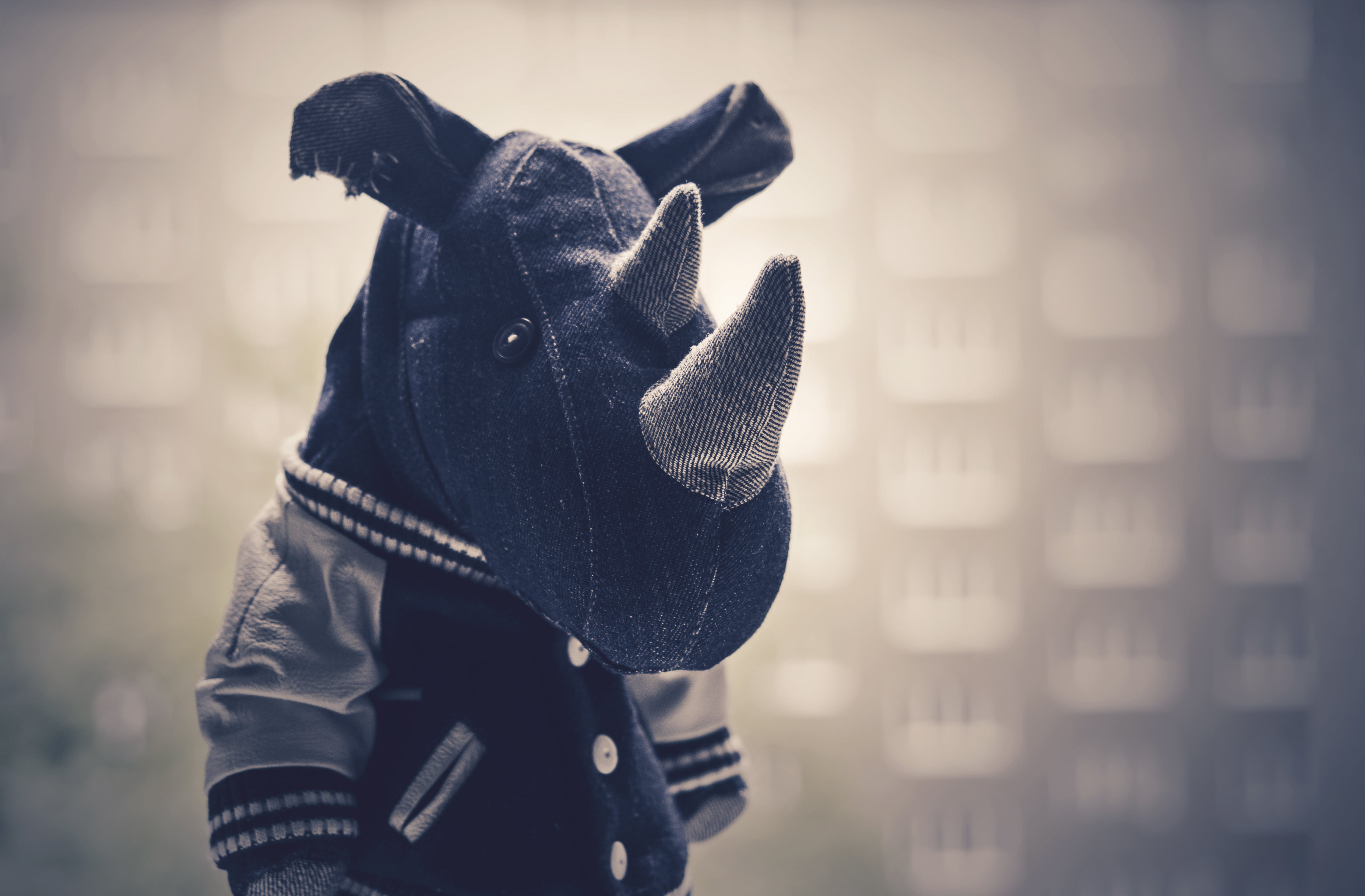standing, obscured face, white, unrecognizable person, pets, men, domestic animals, toy, black, holding, rhino, focus on foreground, day, mammal, people, HD Wallpaper