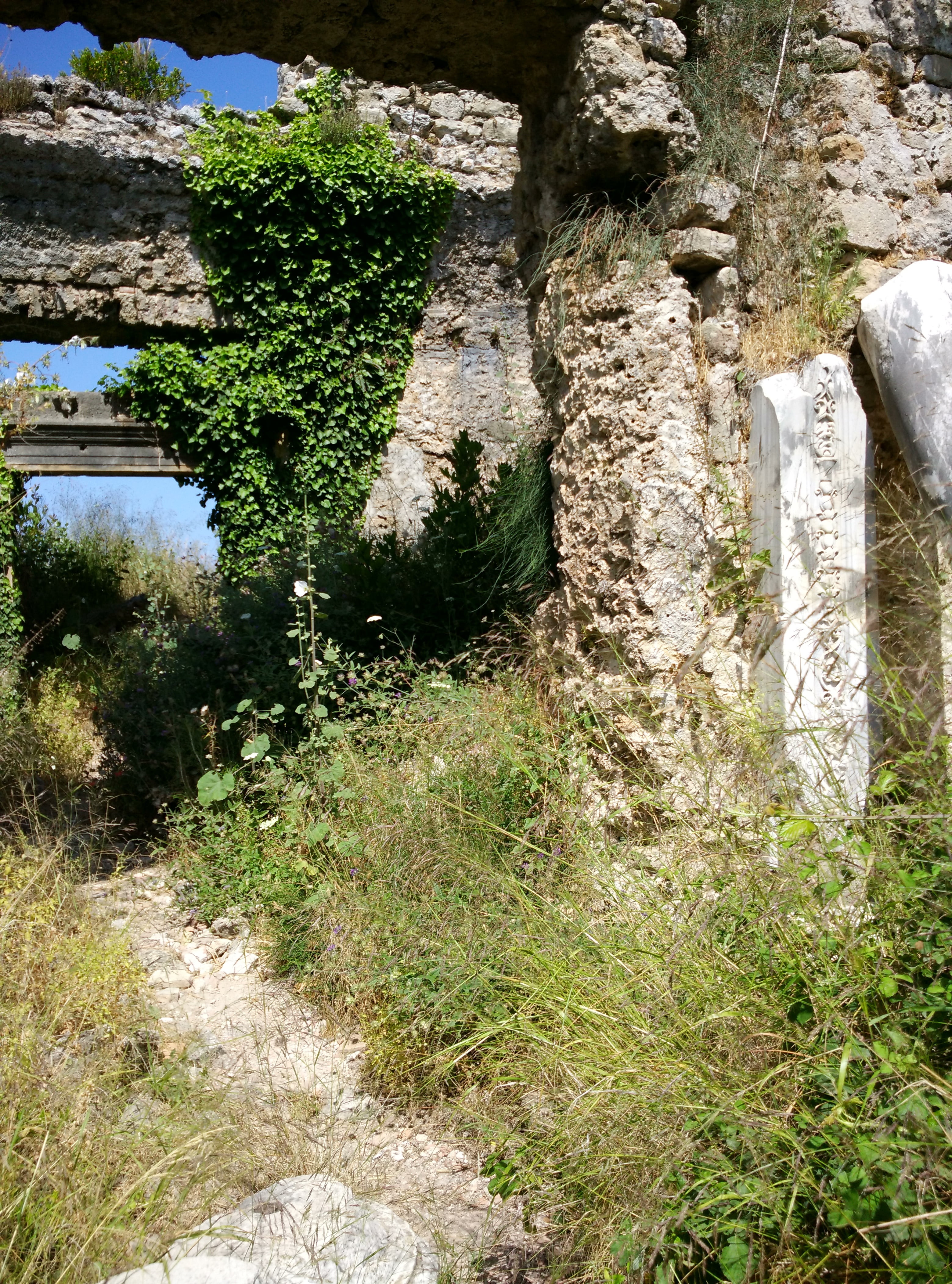 no people, forest, antalya, holiday, solid, day, architecture, land, history, ruin, grass, tourism, tranquil scene, romans, tranquility, beauty in nature, Phone HD Wallpaper