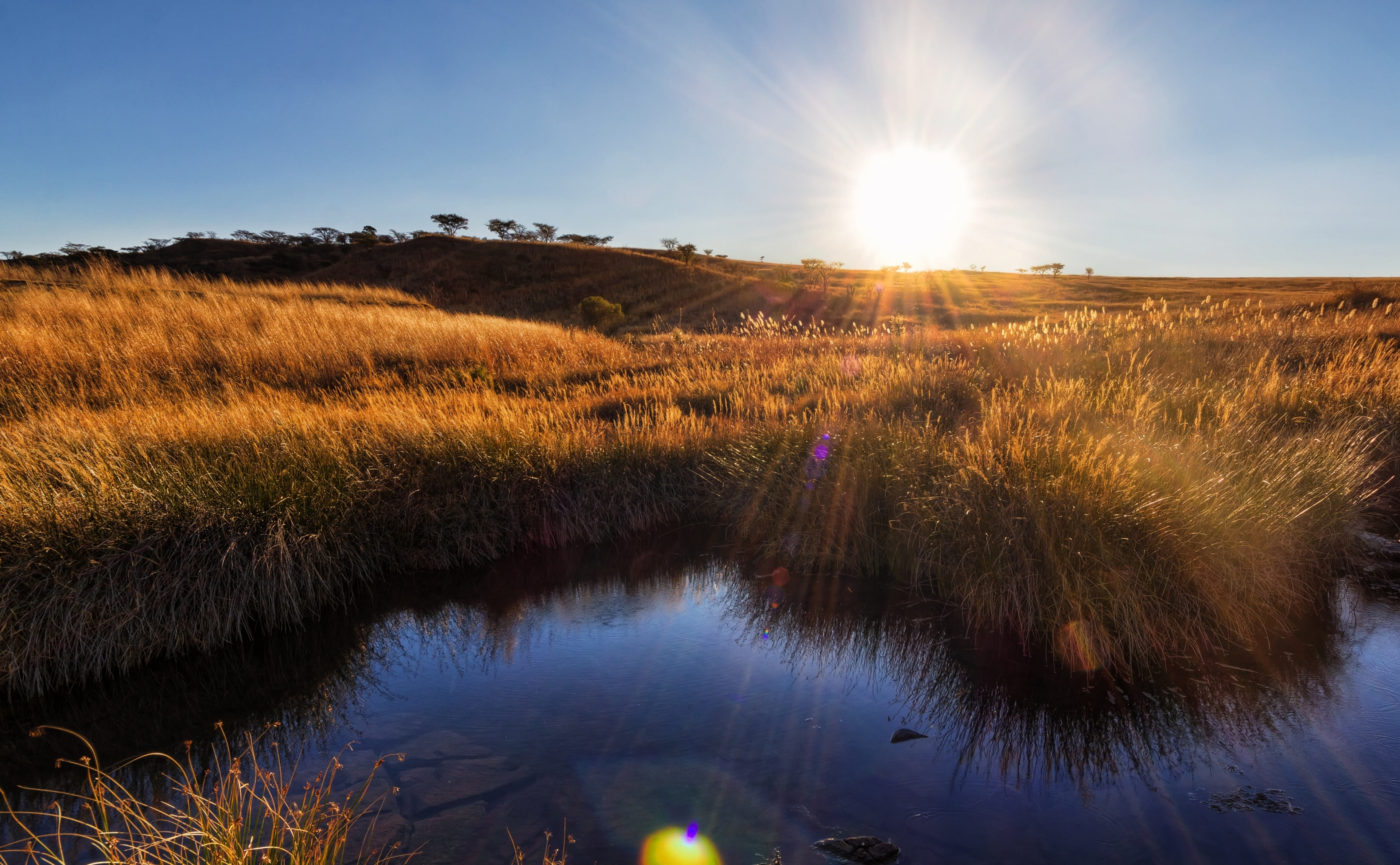 betik, kwazulunatalrural, nature, Sunset, winter, Travel, lens flare, land, Africa, bright, brown, water, plant, kwazulunatal, environment, 4K, outdoors, HD Wallpaper