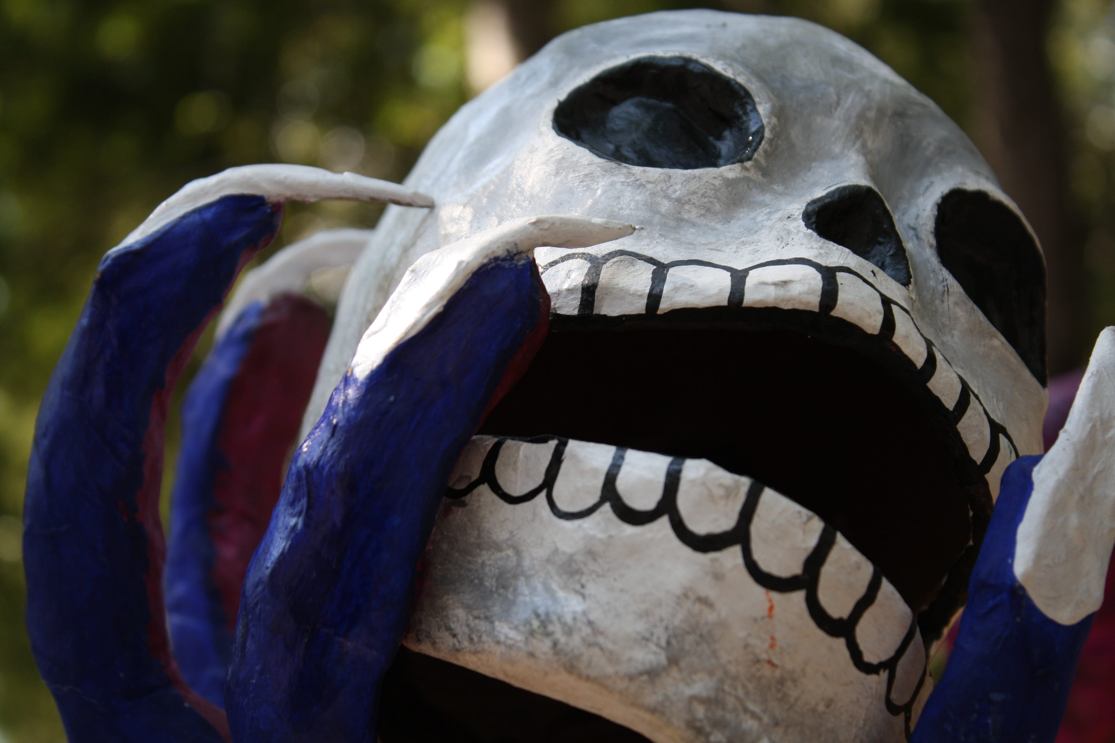 outdoors, human representation, animal body part, death, skinny, spooky, skull, nature, focus on foreground, human remains, close-up, popular festivals, HD Wallpaper