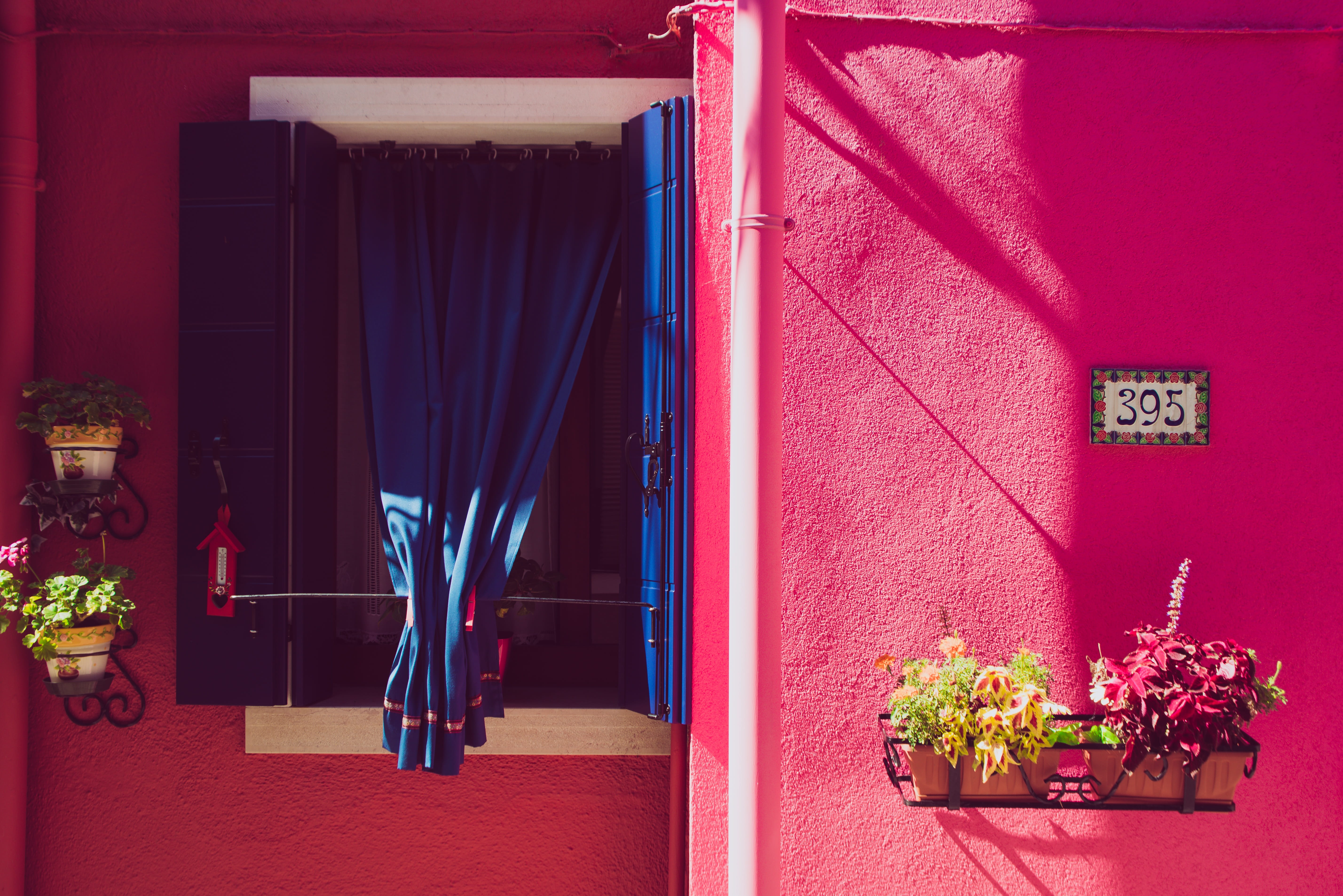 building, hanging, built structure, color, day, flower, decoration, italy, summer, house, window, potted plant, venice, indoors, growth, burano, facade, HD Wallpaper