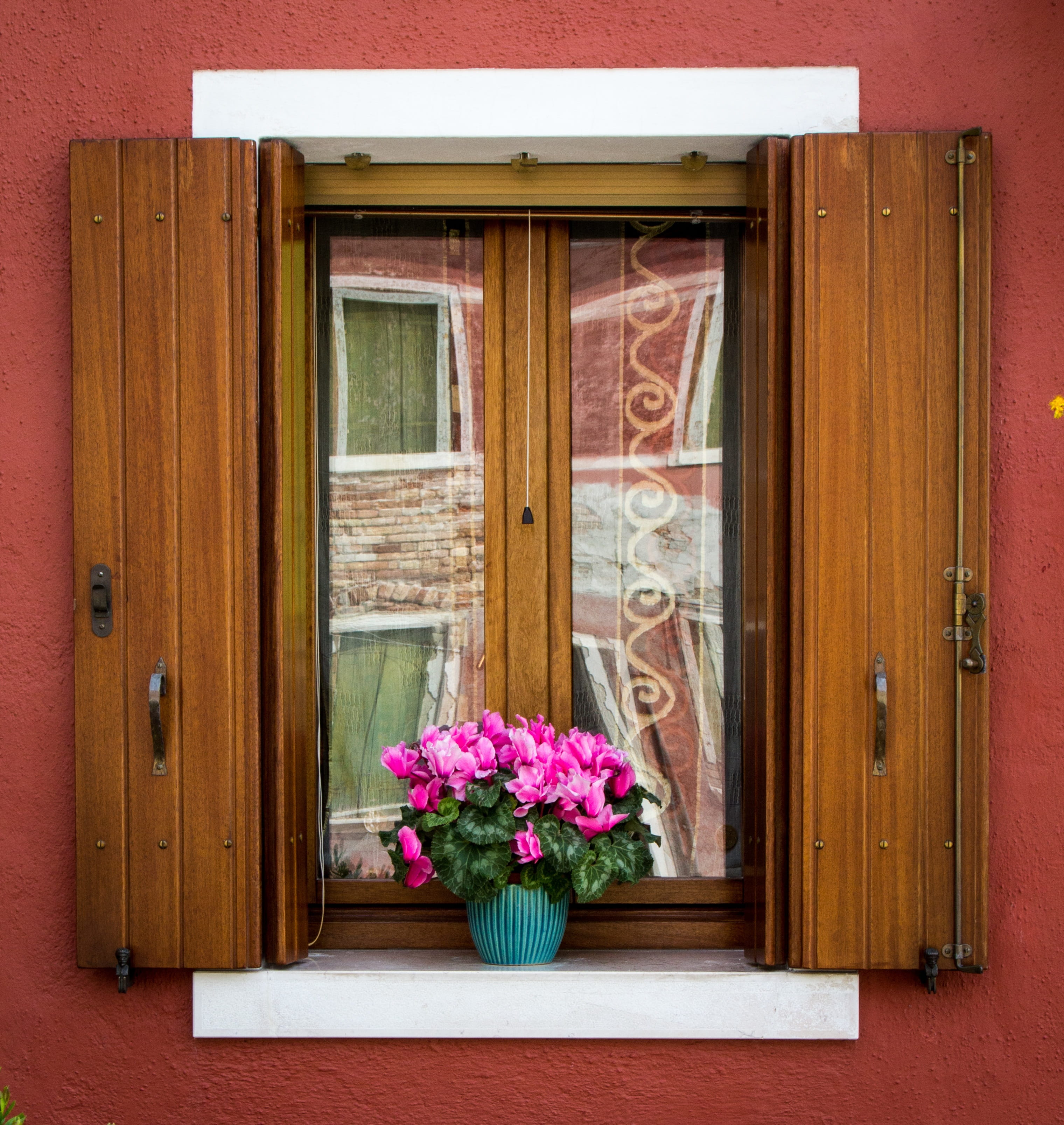 traditional, entrance, plant, flower pot, Italy, wood - material, building exterior, safety, 2K, day, door, Burano, wooden, flower arrangement, Building, Phone HD Wallpaper