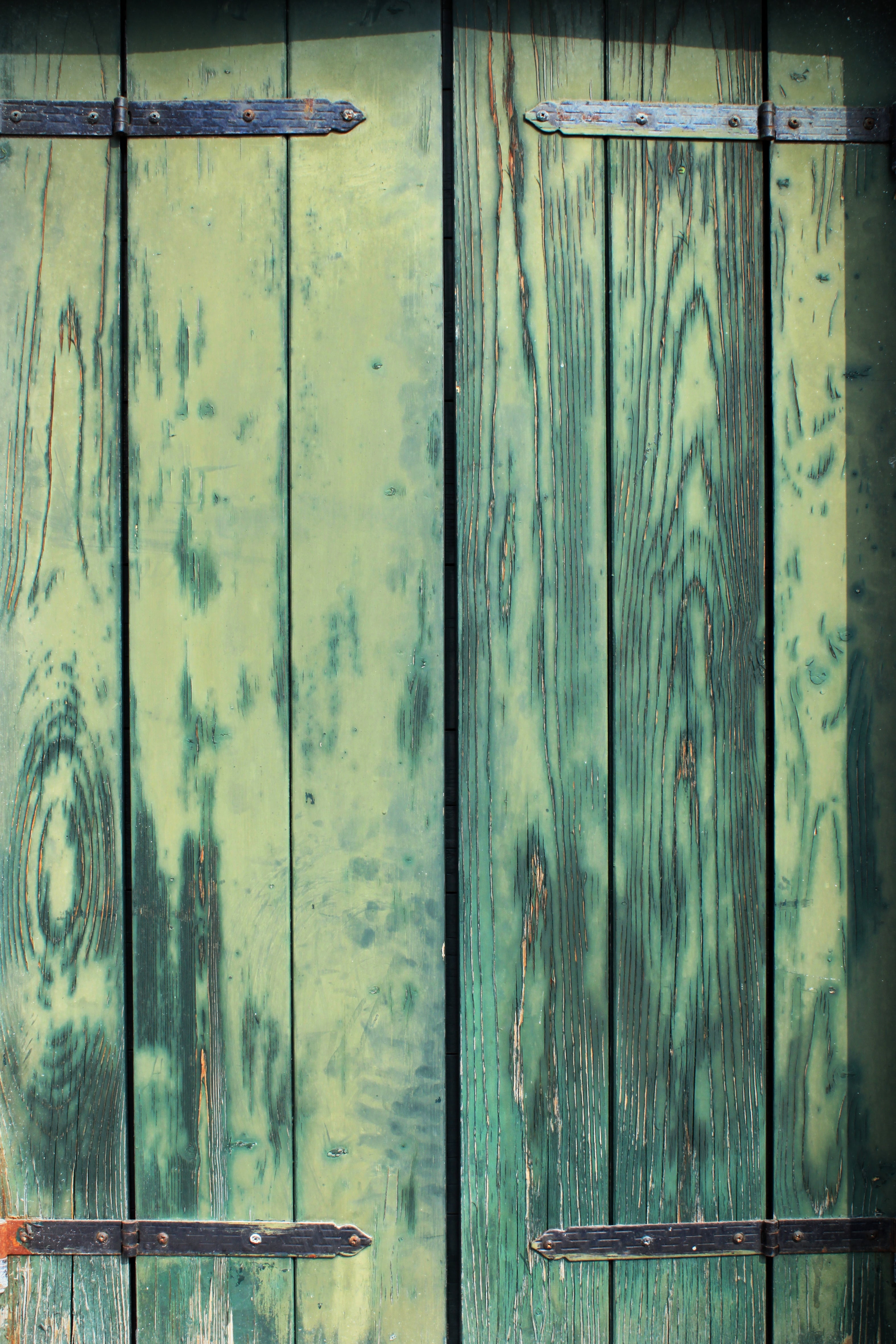 beauty, protection, close-up, battens, green, metal, beautiful, burano, iron, architecture, backgrounds, built structure, run-down, window, full frame, Phone HD Wallpaper
