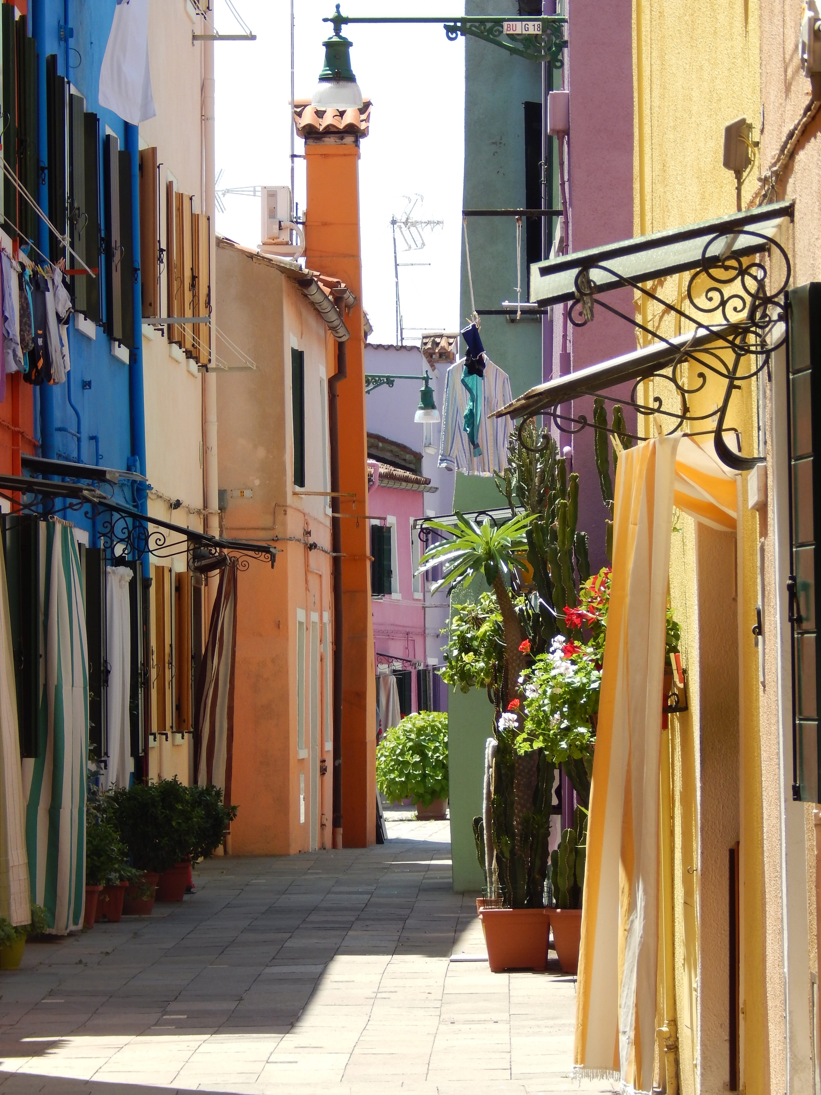 building exterior, growth, alley, potted plant, building, footpath, day, entrance, sunlight, attraction, plant, no people, burano, flower pot, 4K, city, Phone HD Wallpaper