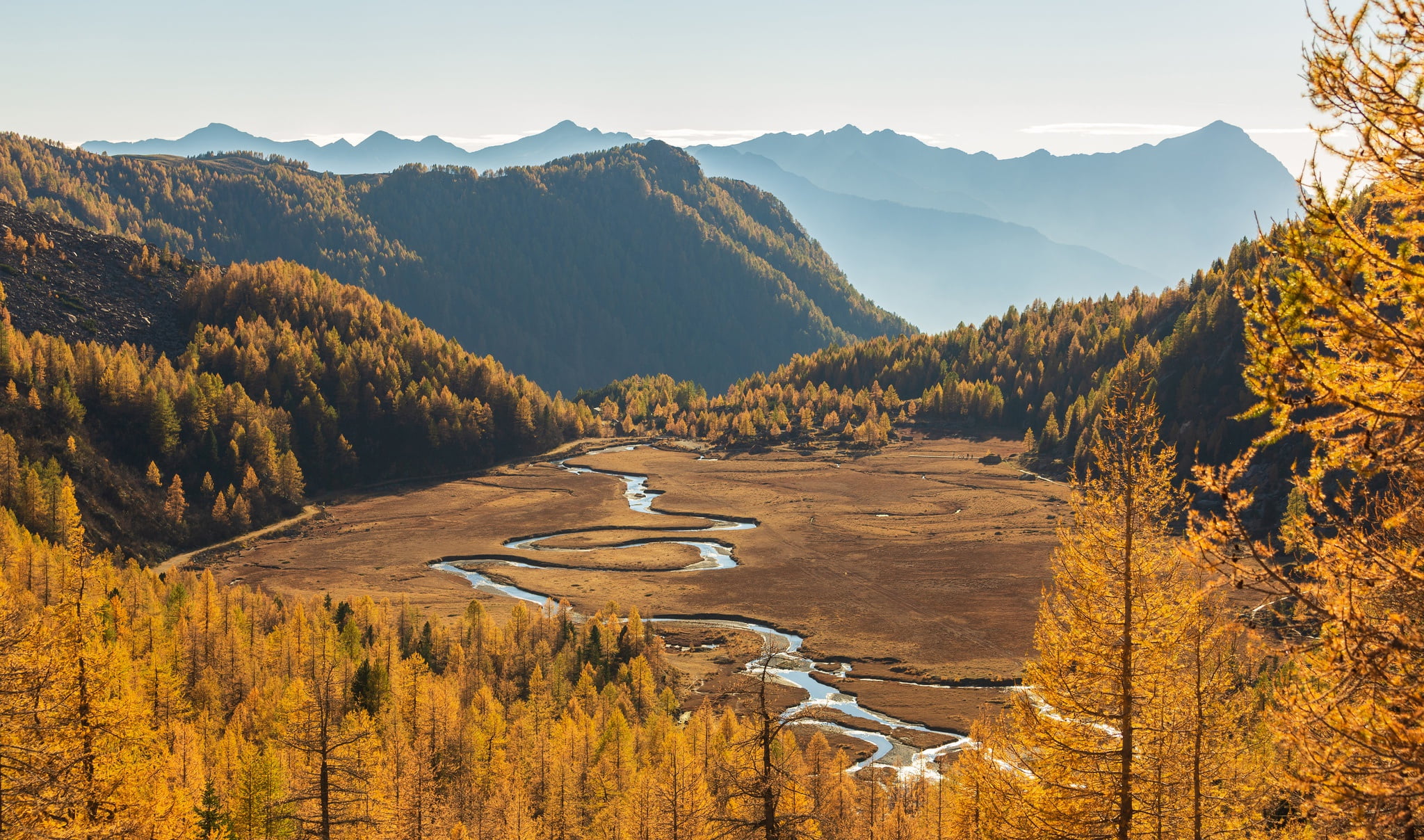 Preda Rossa, autumn, trees, valley, forest, the sun, Italy, the sky, river, the view from the top, north Italy, 1080P, yellow, mountains, HD Wallpaper