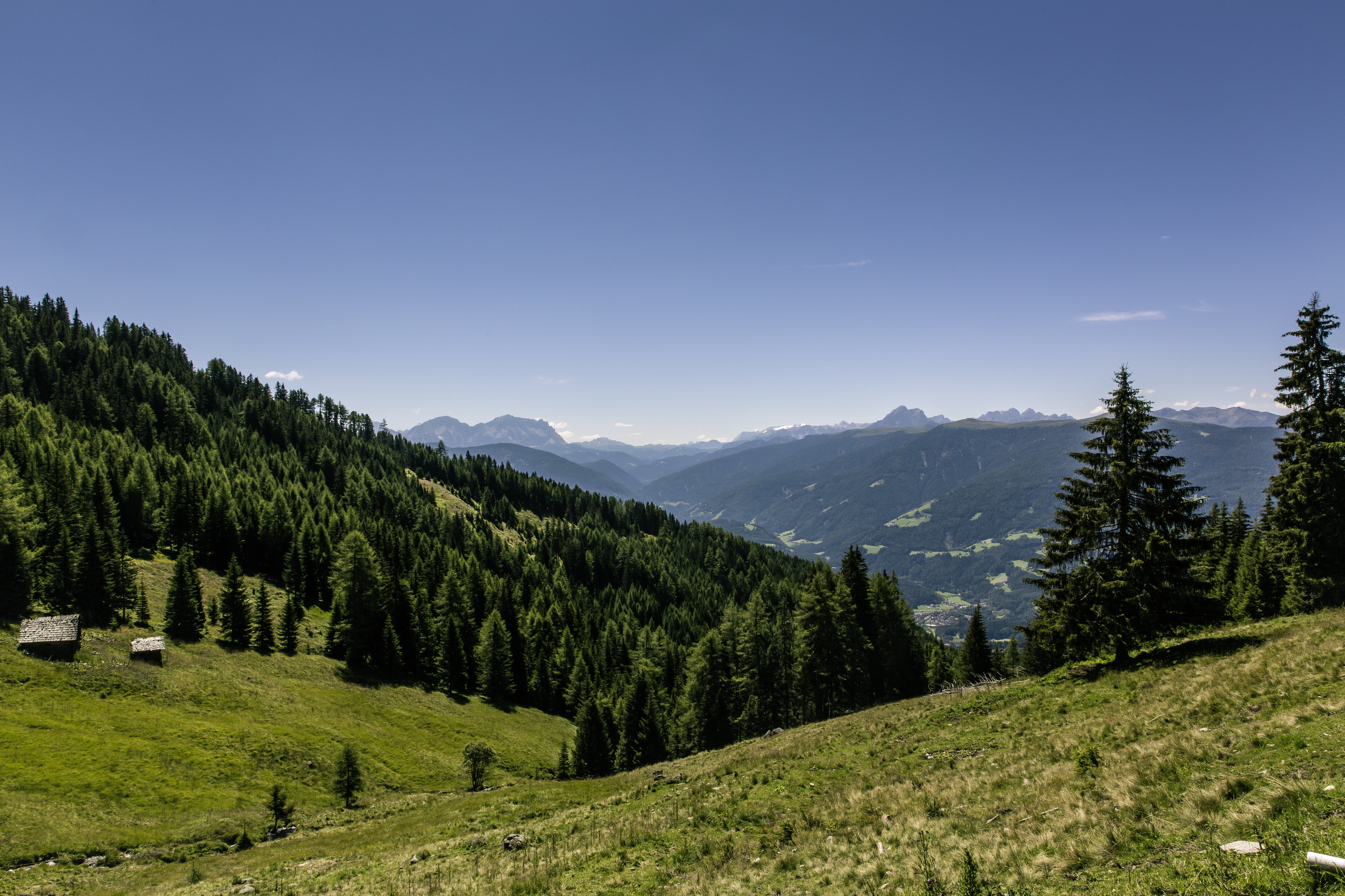 coniferous tree, beauty in nature, environment, tranquil scene, view, distant view, mountain, destination, day, viewpoint, mountains, leisure, pine tree, HD Wallpaper