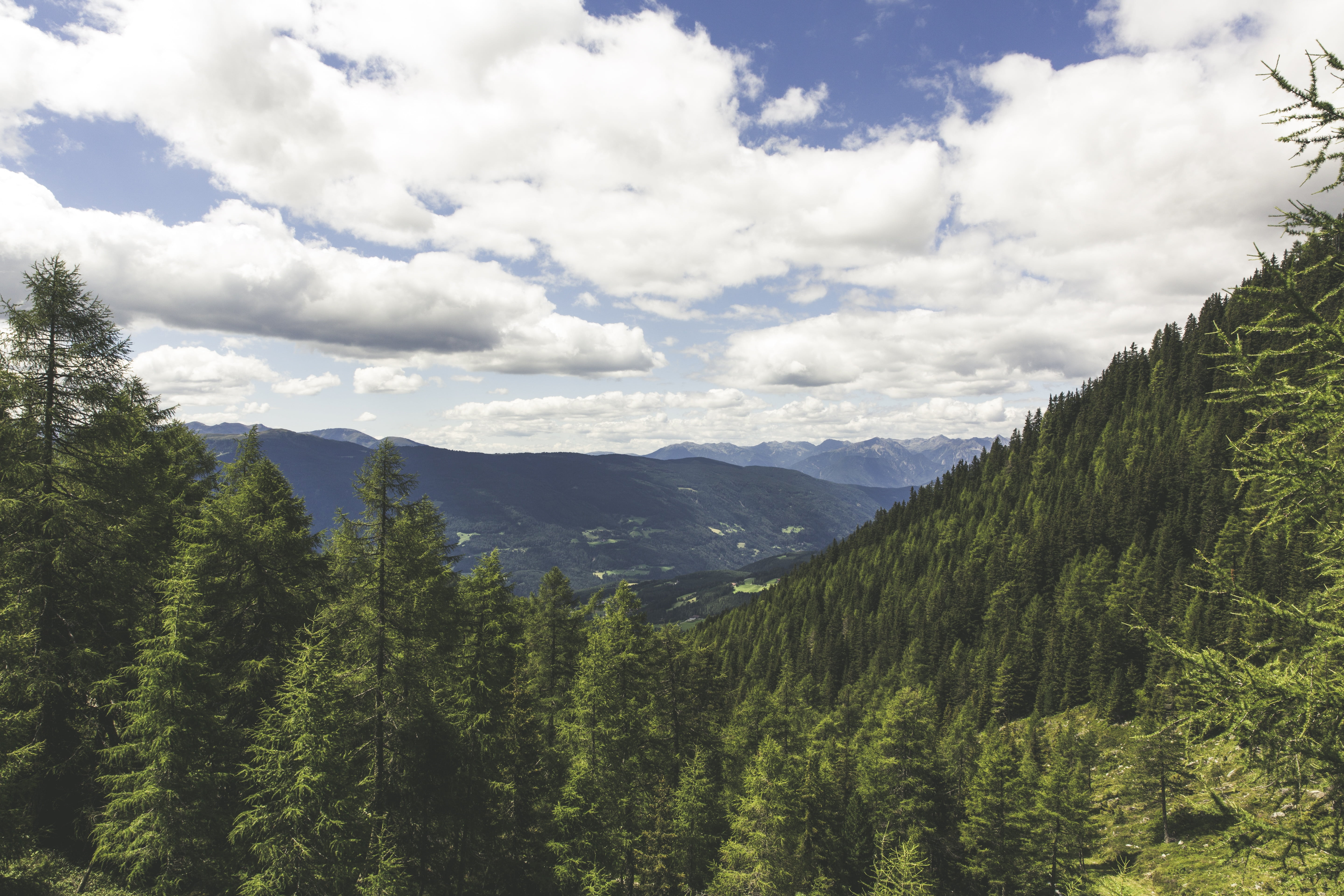 idyllic, italy, tranquility, pine woodland, dolomites, green color, nature park, rock, sky, hiking, environment, more, mountain, outdoors, plant, beauty in nature, HD Wallpaper