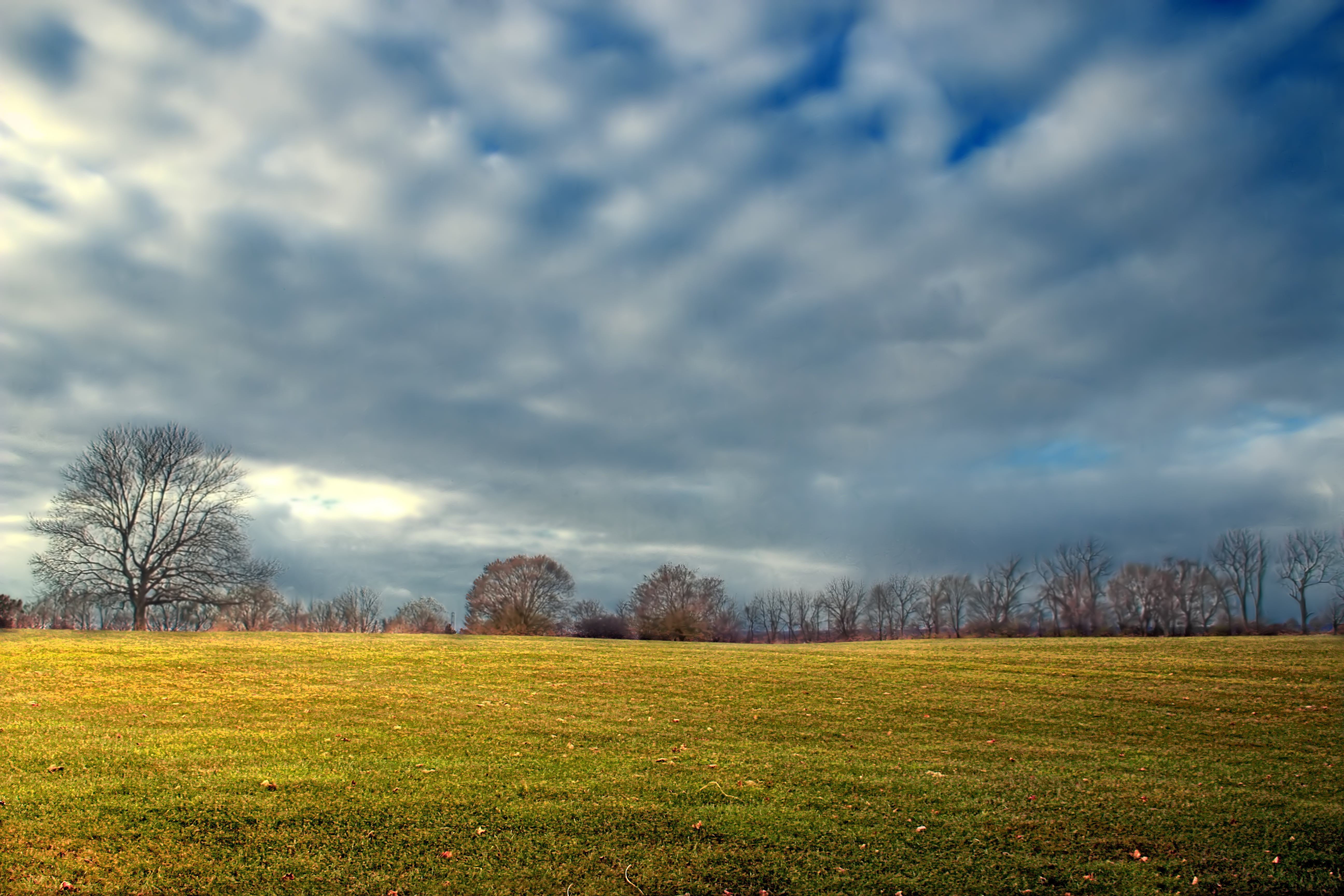 bare, autumn, Louise, tree, Field, outdoors, grass, Pennsylvania, bare trees, clouds, stratocumulus, 5K, weather, scenics, County Park, Northampton County, HD Wallpaper