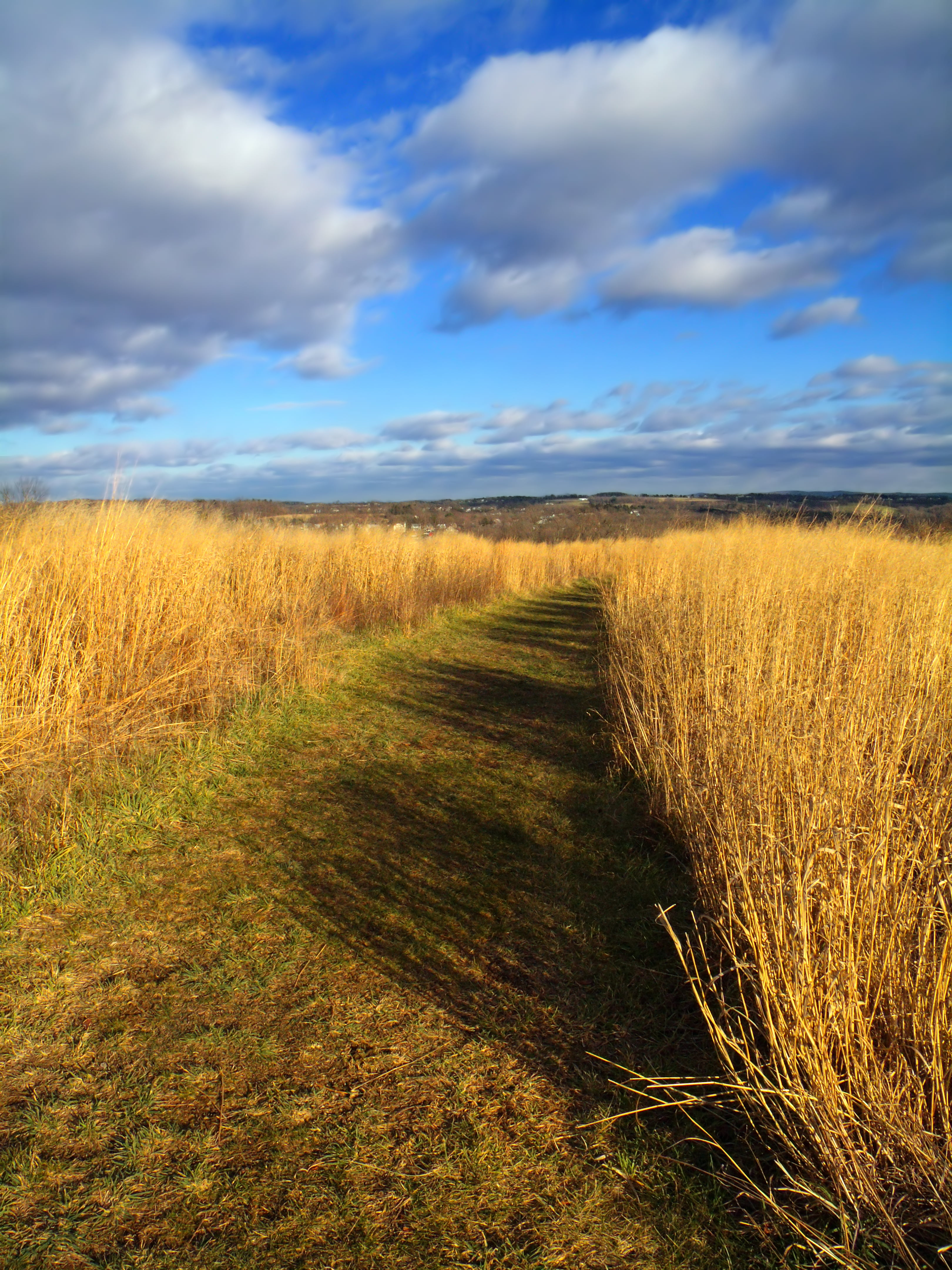 Trail, stratocumulus, agriculture, landscape, outdoors, low light, sky, Northampton County, Jacobsburg State Park, Homestead, clouds, rice, Jacobsburg Environmental Education Center, Phone HD Wallpaper