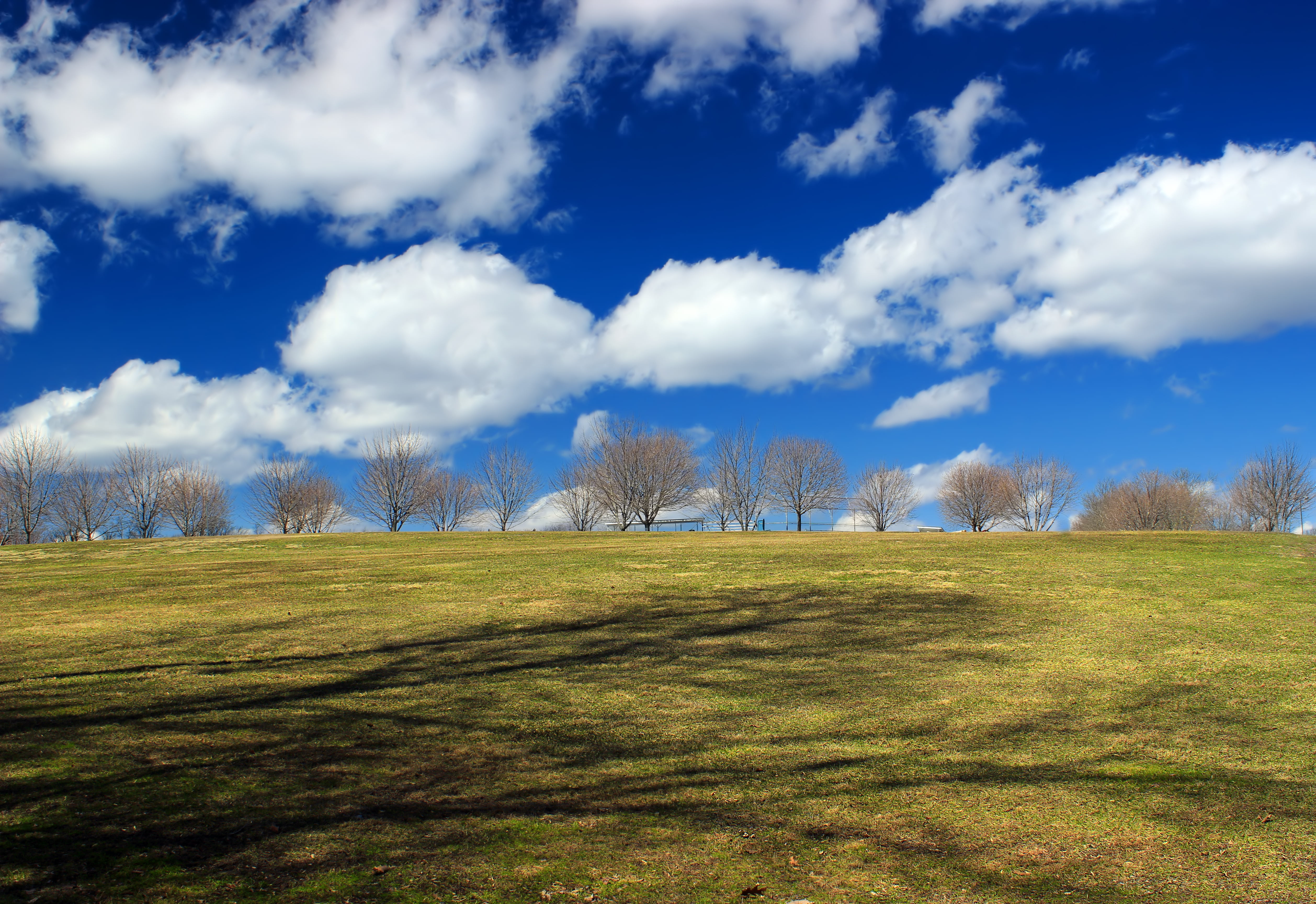trees, tree, scenics, Pennsylvania, Recreation, green Color, summer, landscape, leafless, Perimeter, creative commons, clouds, outdoors, grass, spring, HD Wallpaper