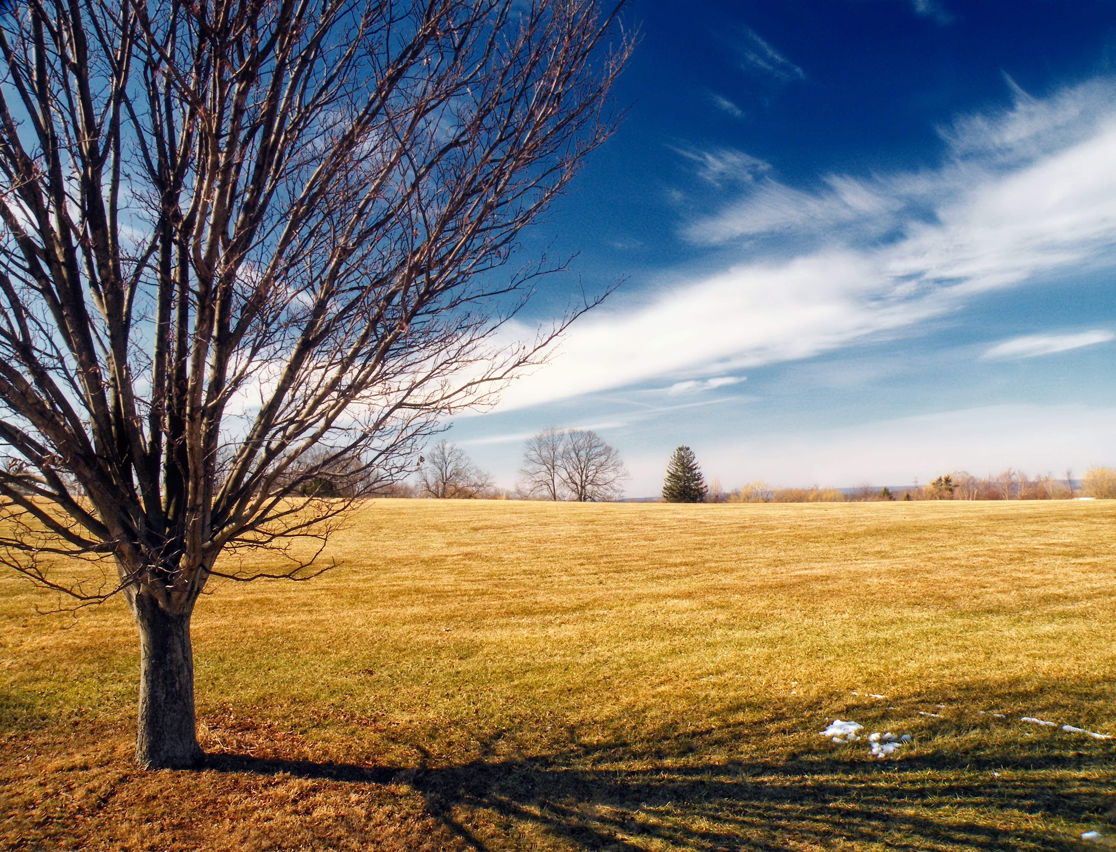 winter, outdoors, Northampton County, gray, 2K, Lehigh Valley, tree, nature, sky, photo, Pennsylvania, Moore County, creative commons, grass, Moore Park, HD Wallpaper
