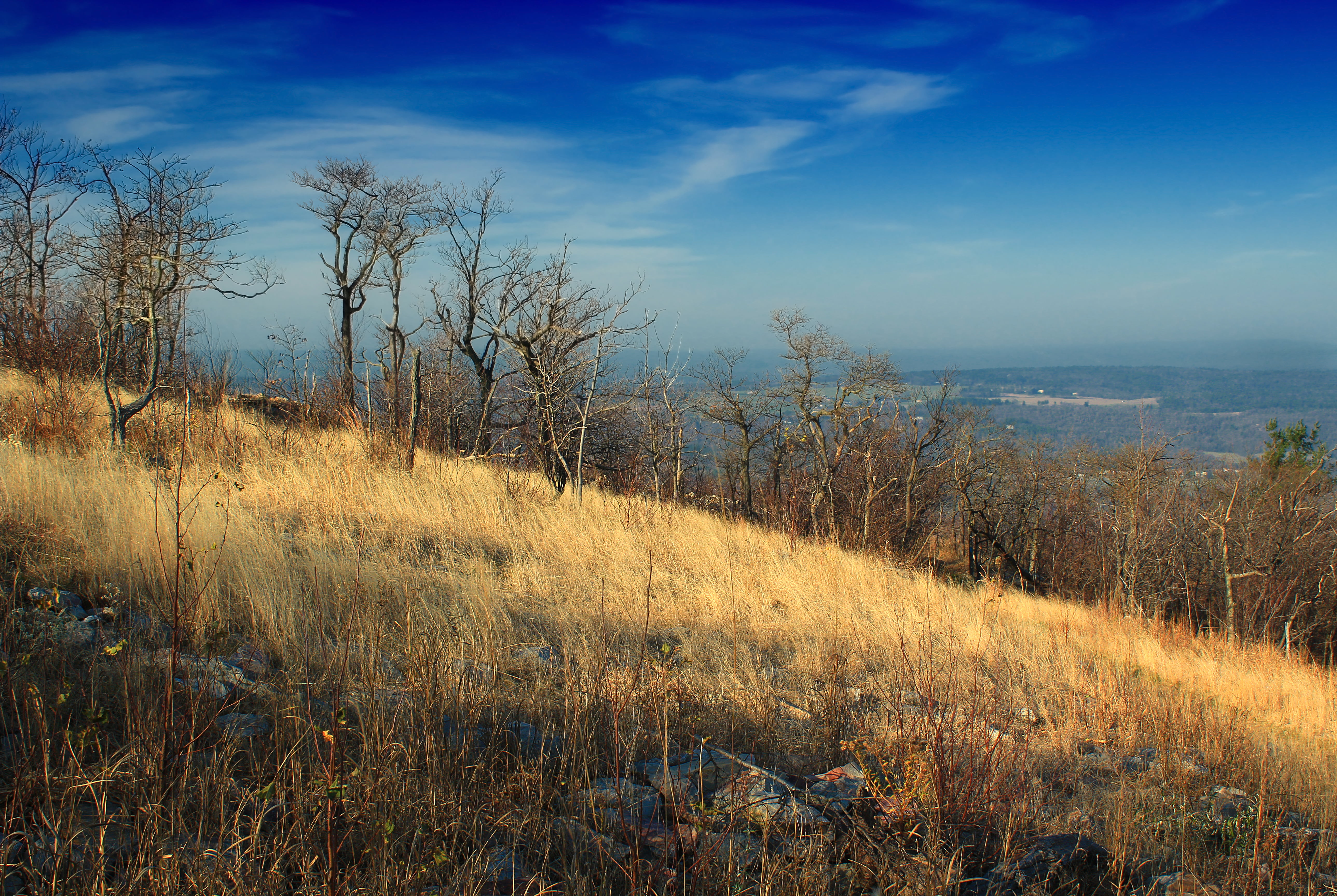 scenics, Lehigh County, sky, autumn, nature, Appalachian Mountains, Browned, aerial view, trees, Appalachian Trail, Kittatinny Mountain, landscape, grass, HD Wallpaper