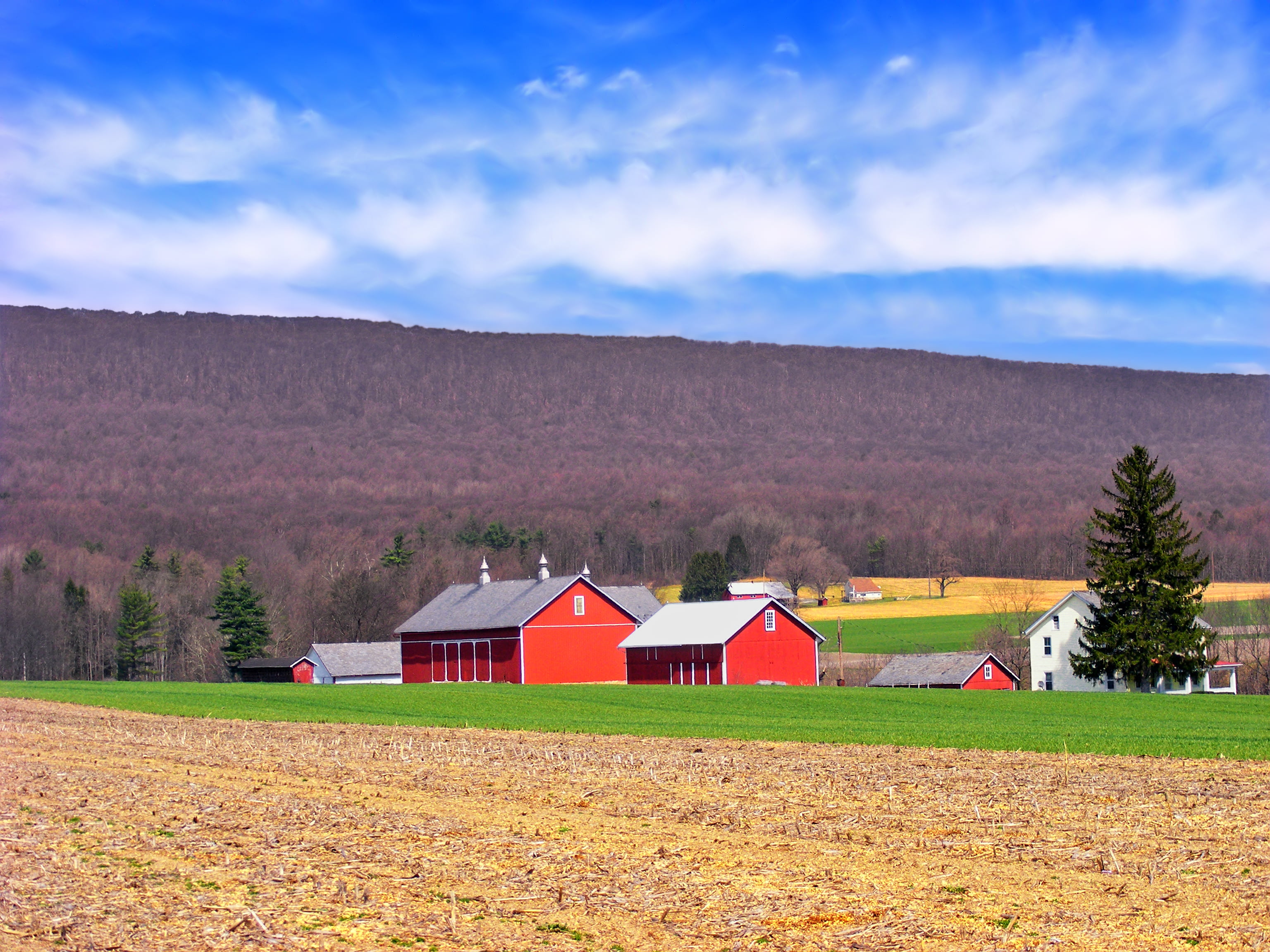 Pennsylvania, wooden, 2K, red, Appalachian Mountains, Slope, nature, farm, Kittatinny Mountain, Lehigh Valley, rural Scene, creative commons, spring, Lehigh County, HD Wallpaper
