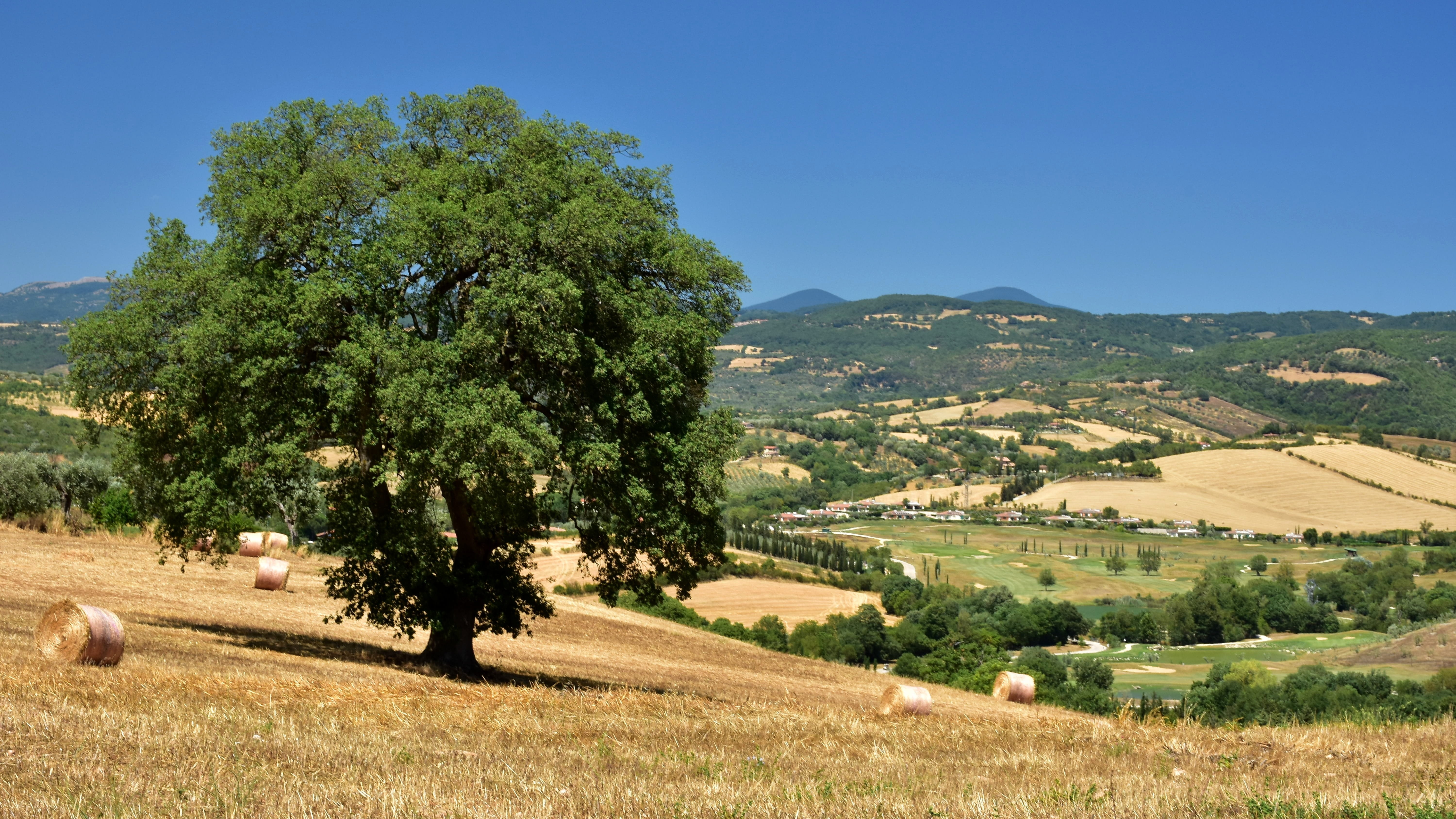 day, plant, rural scene, maremma, italy, tuscany, tranquil scene, outdoors, background, saturnia, horizon, natural, green color, peace, scenics - nature, HD Wallpaper
