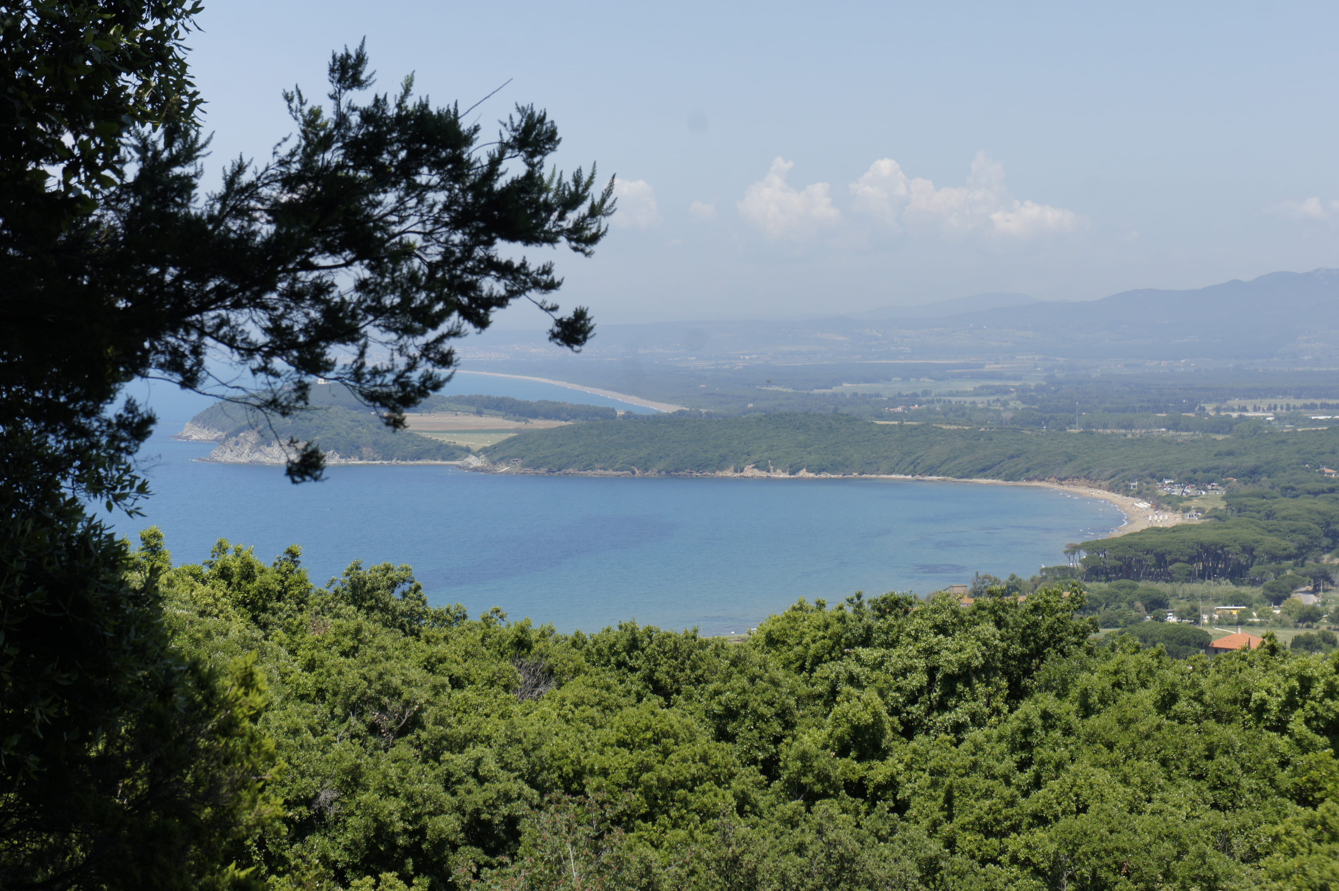 nature, tranquil scene, scenics - nature, coast, tree, no people, Landscape, Italy, Toscana, Maremma, non-urban scene, tranquility, 4K, bay, beach, plant, HD Wallpaper