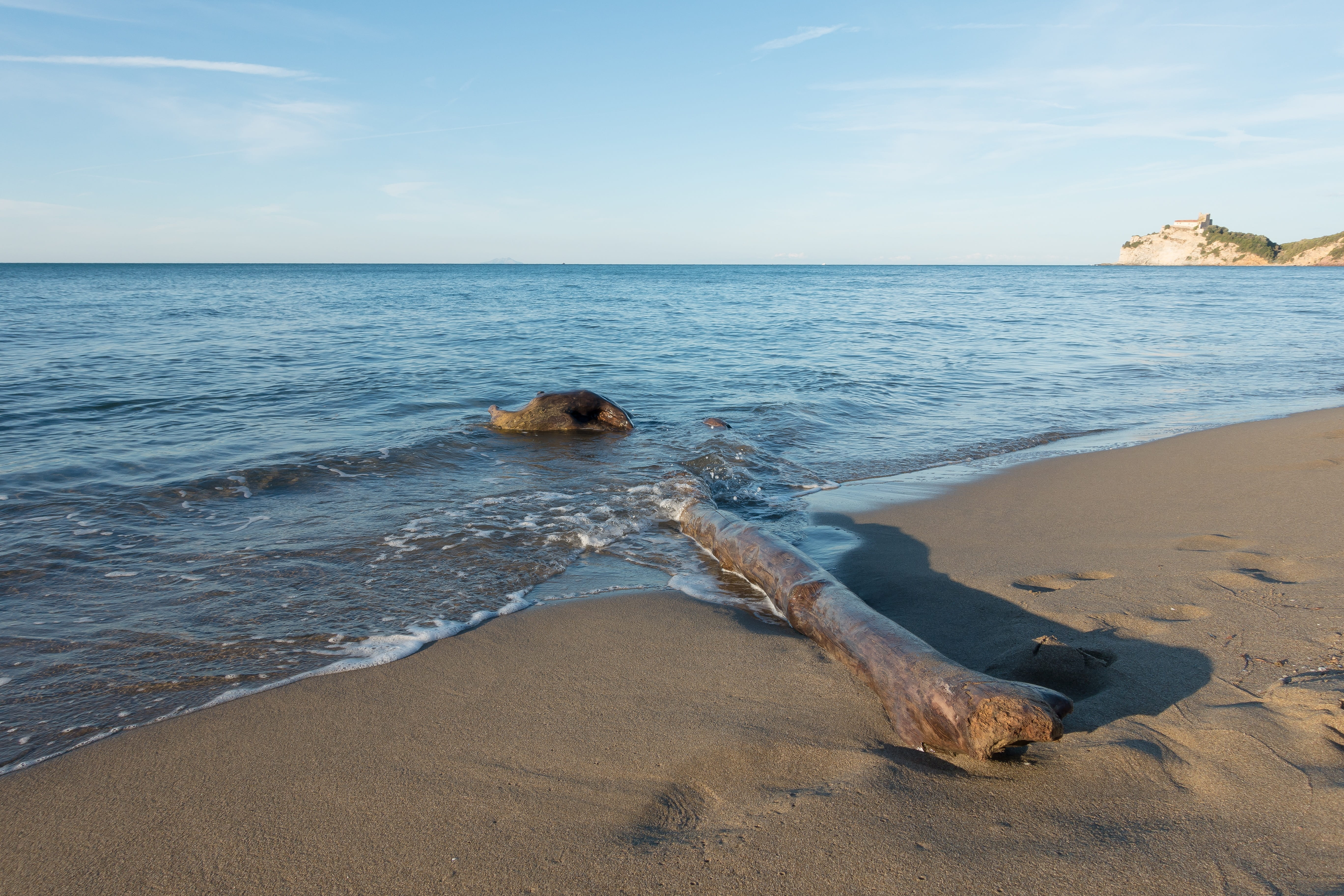 horizon over water, italy, land, day, Log, Sea, rock, 5K, tranquility, wave, sand, idyllic, Rock, Water, beauty in nature, maremma, Sand, travel destinations, HD Wallpaper