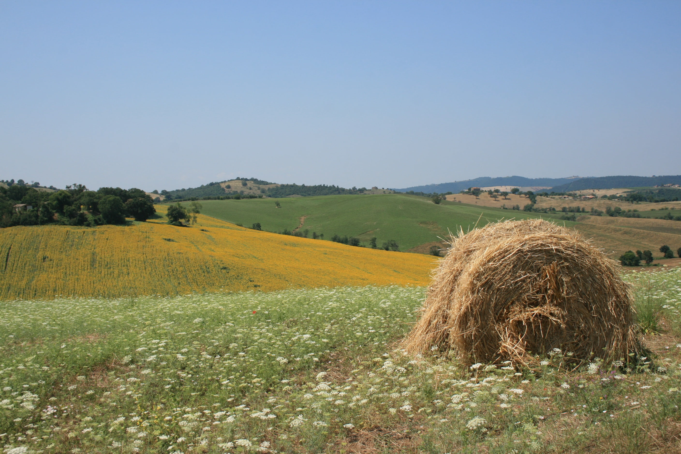 clouds, rural scene, lights, green, waterfalls, bale, maremma, horizon, montemerano, yellow, sun, farm, landscape, sky, 2K, hay, sea, tranquil scene, beauty in nature, HD Wallpaper