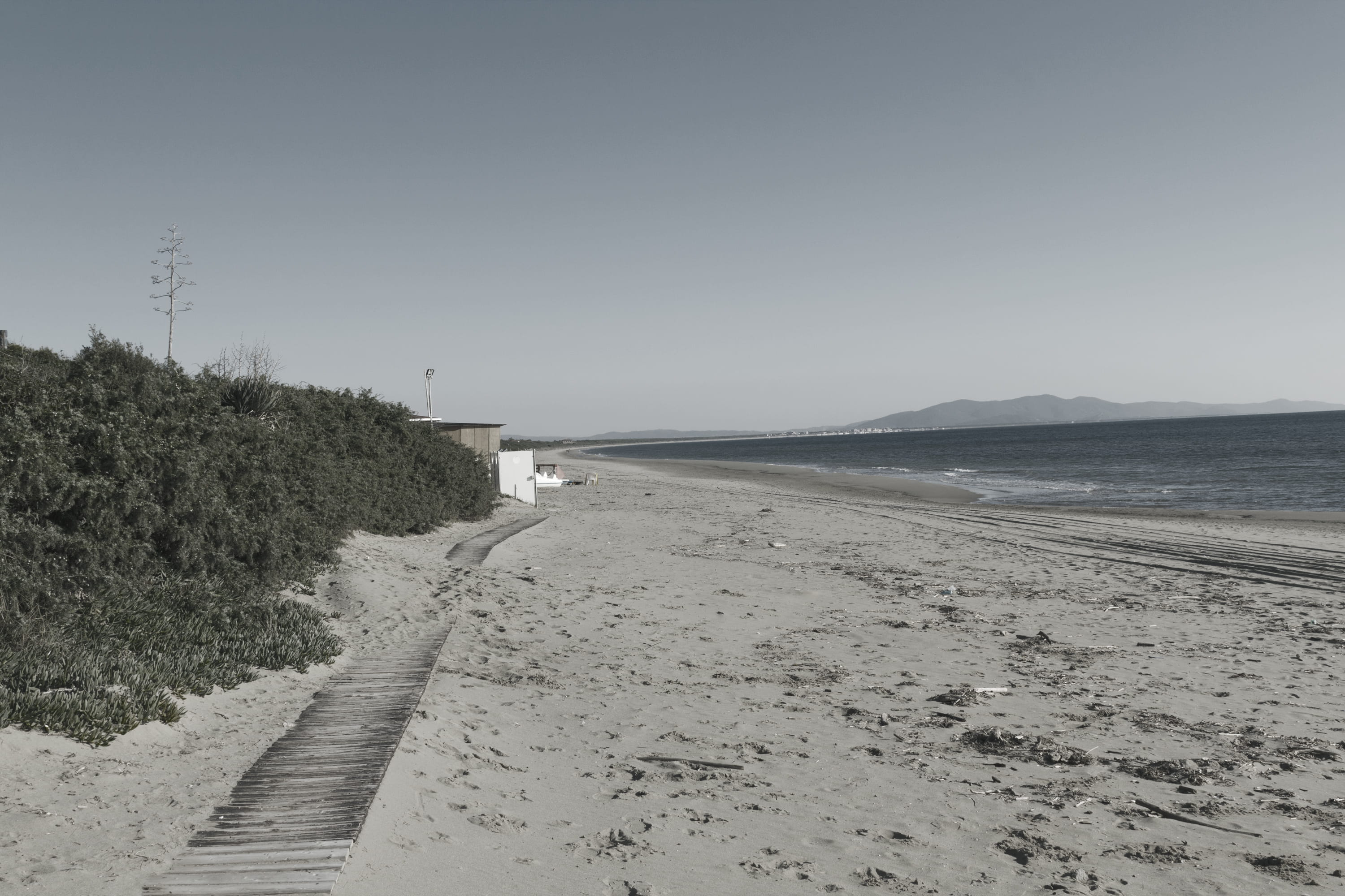 empty beach, sand, the way forward, sand beach, nature, direction, beauty in nature, empty, no people, maremma, sea, italy, tuscany, day, plant, copy space, HD Wallpaper