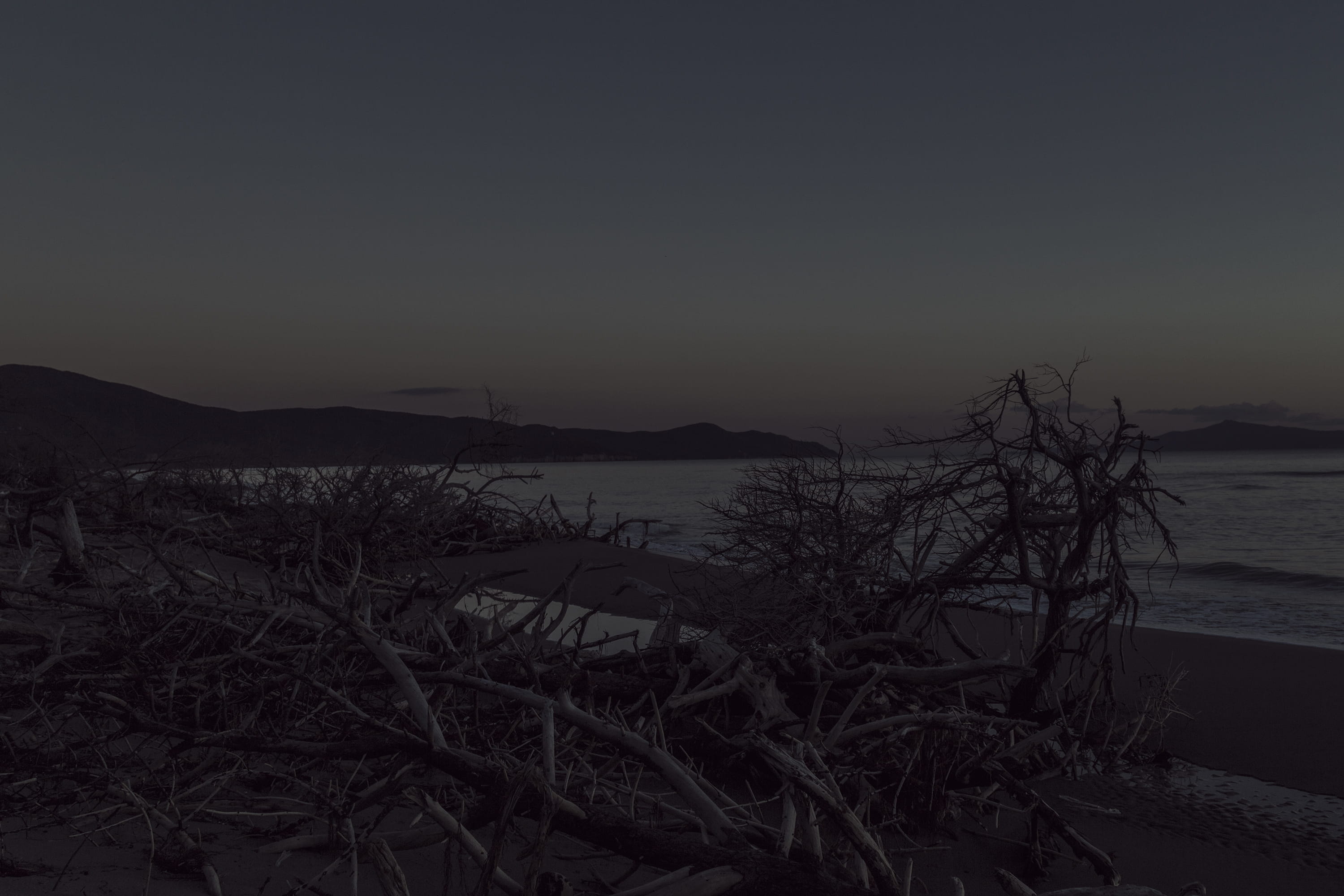 no people, outdoors, land, clear sky, italia, tree, toskana, toscana, sundown, sky, scenics - nature, water, copy space, maremma, evening, plant, italien, HD Wallpaper