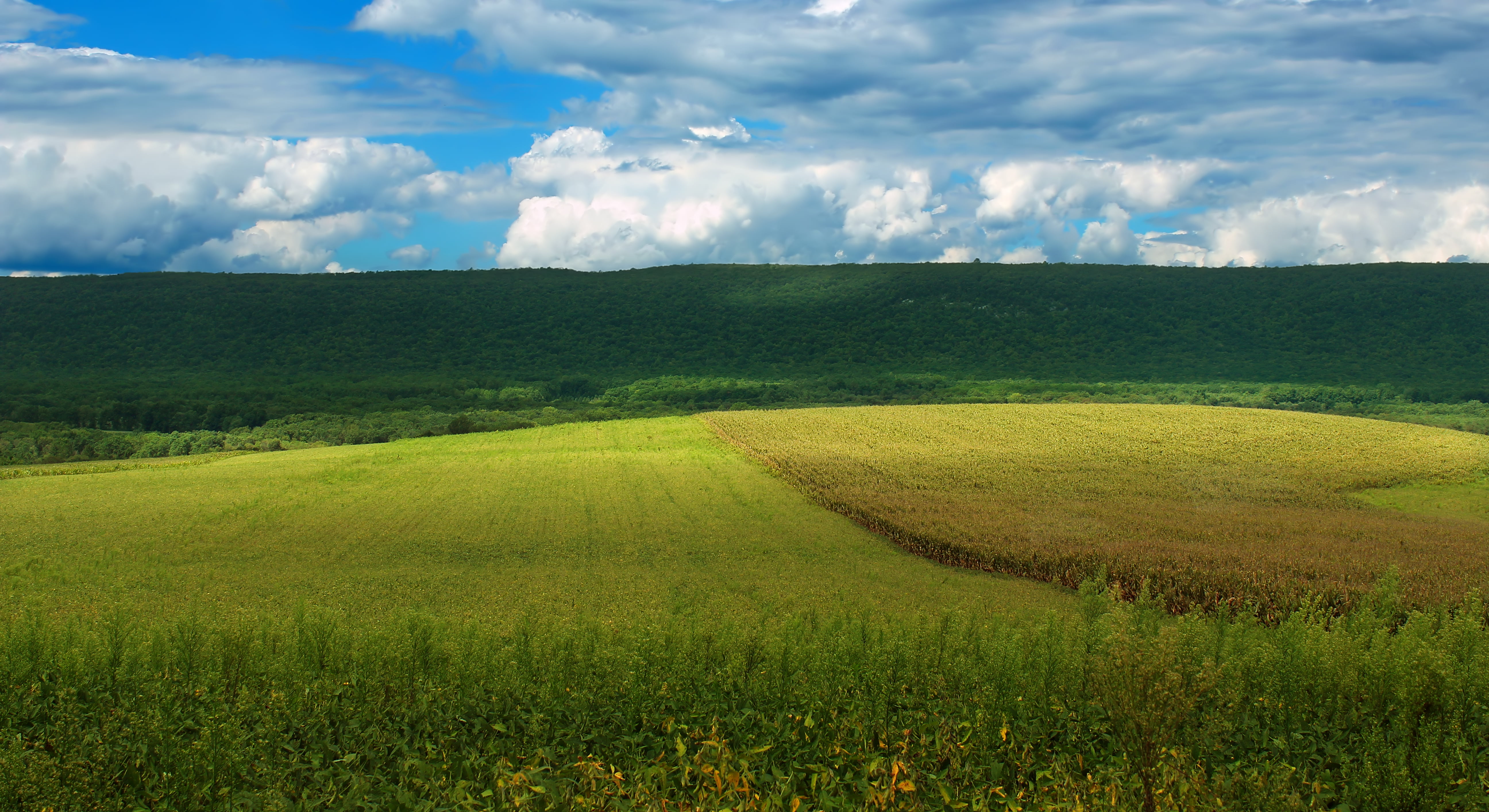 stratocumulus, field, grass, 5K, summer, Appalachian Mountains, land, outdoors, hills, clouds, rural Scene, Scenic Drive, nature, photo, rural, meadow, HD Wallpaper
