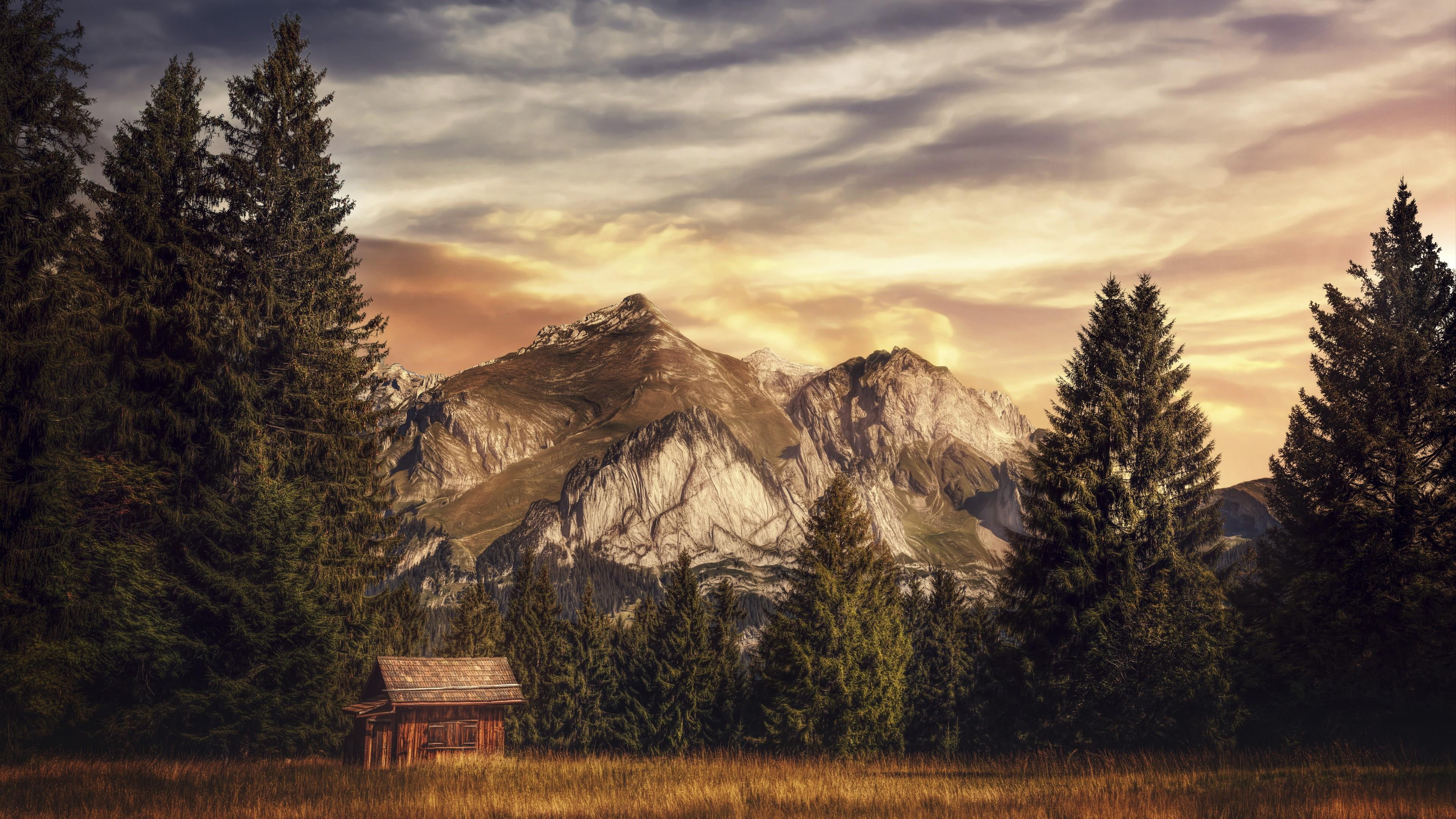 shanty, forest, mountain, 4K, pines, HD Wallpaper