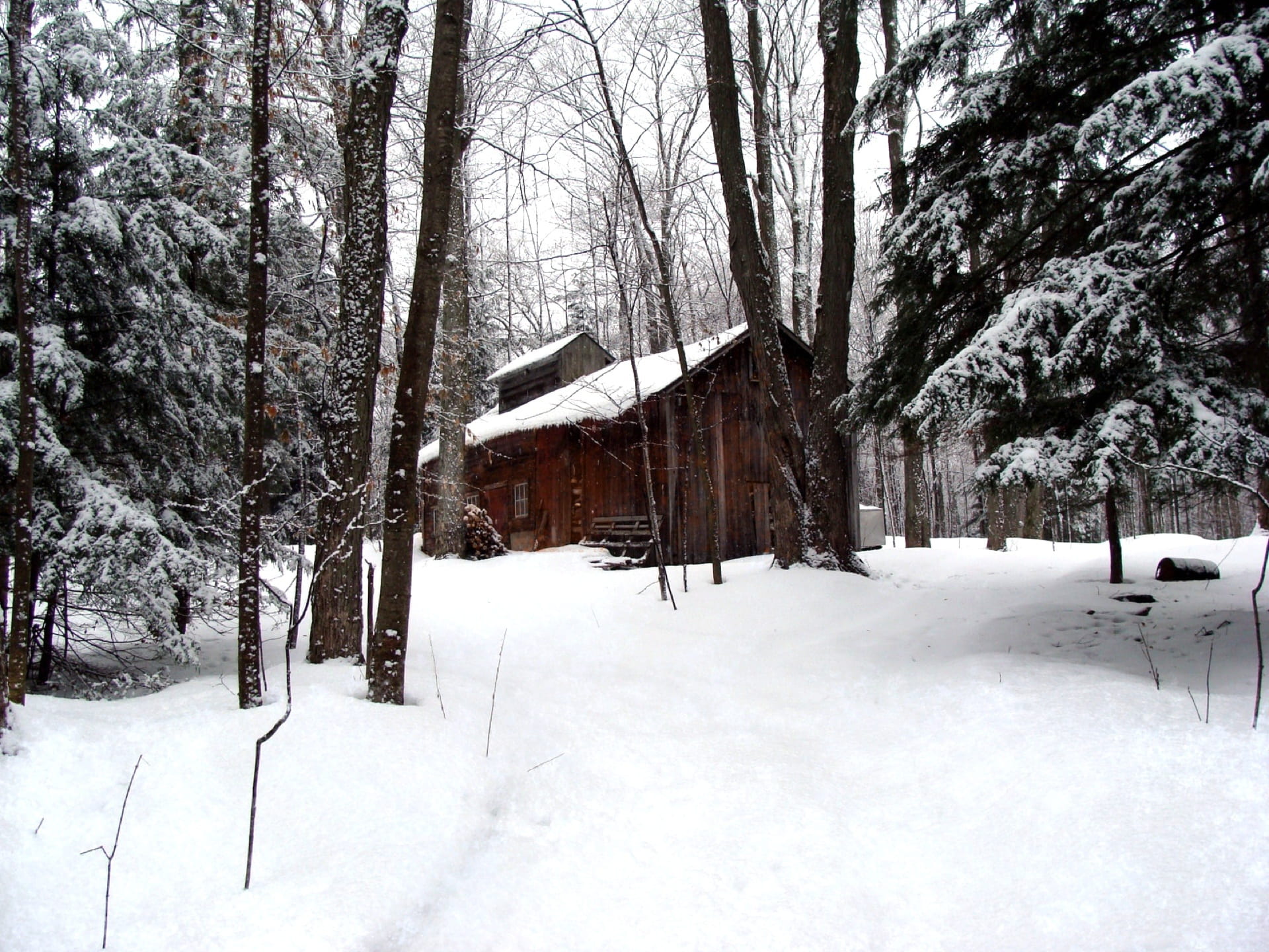 no people, woods, forest, non-urban scene, built structure, sugar, tranquil scene, white color, building exterior, day, maple syrup, 1080P, land, beauty in nature, HD Wallpaper