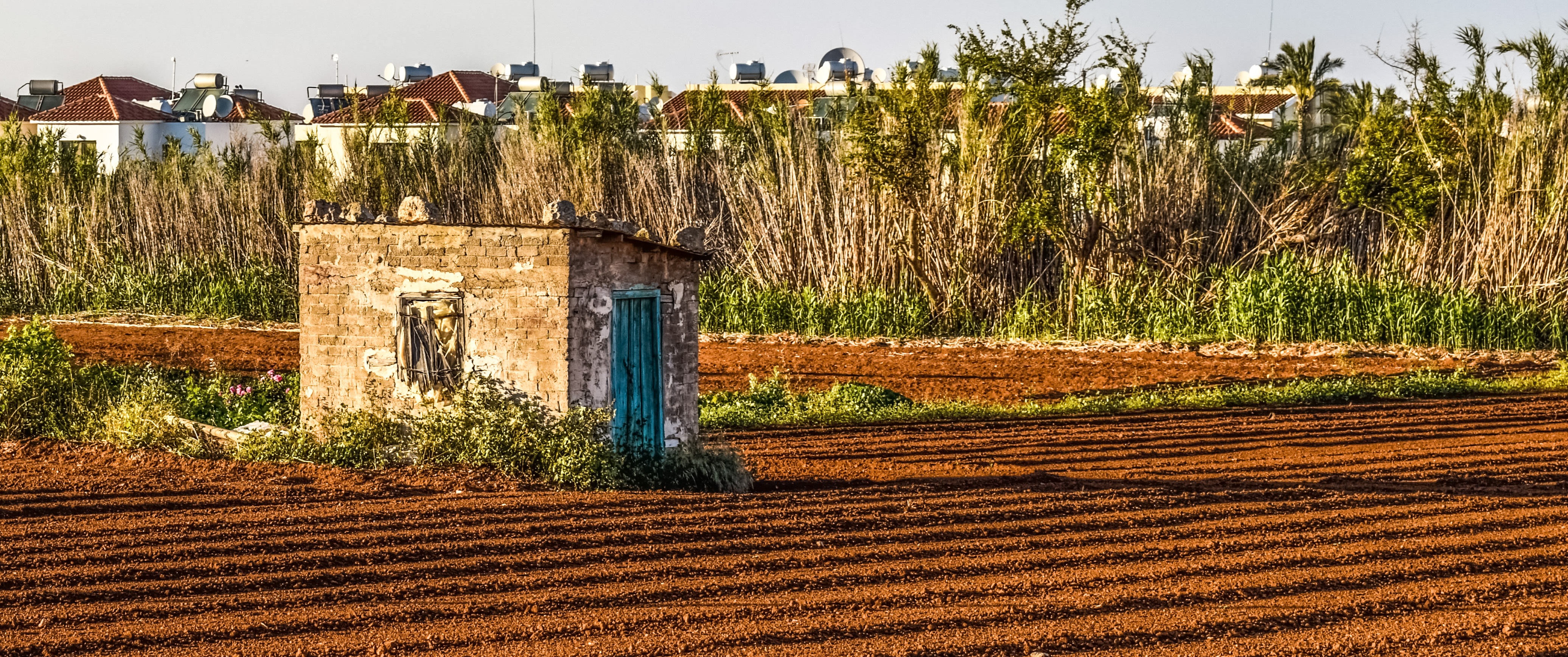 kapparis, countryside, built structure, building exterior, sunlight, hut, land, plant, 4K, agriculture, outdoors, building, day, cyprus, rural scene, tree, HD Wallpaper