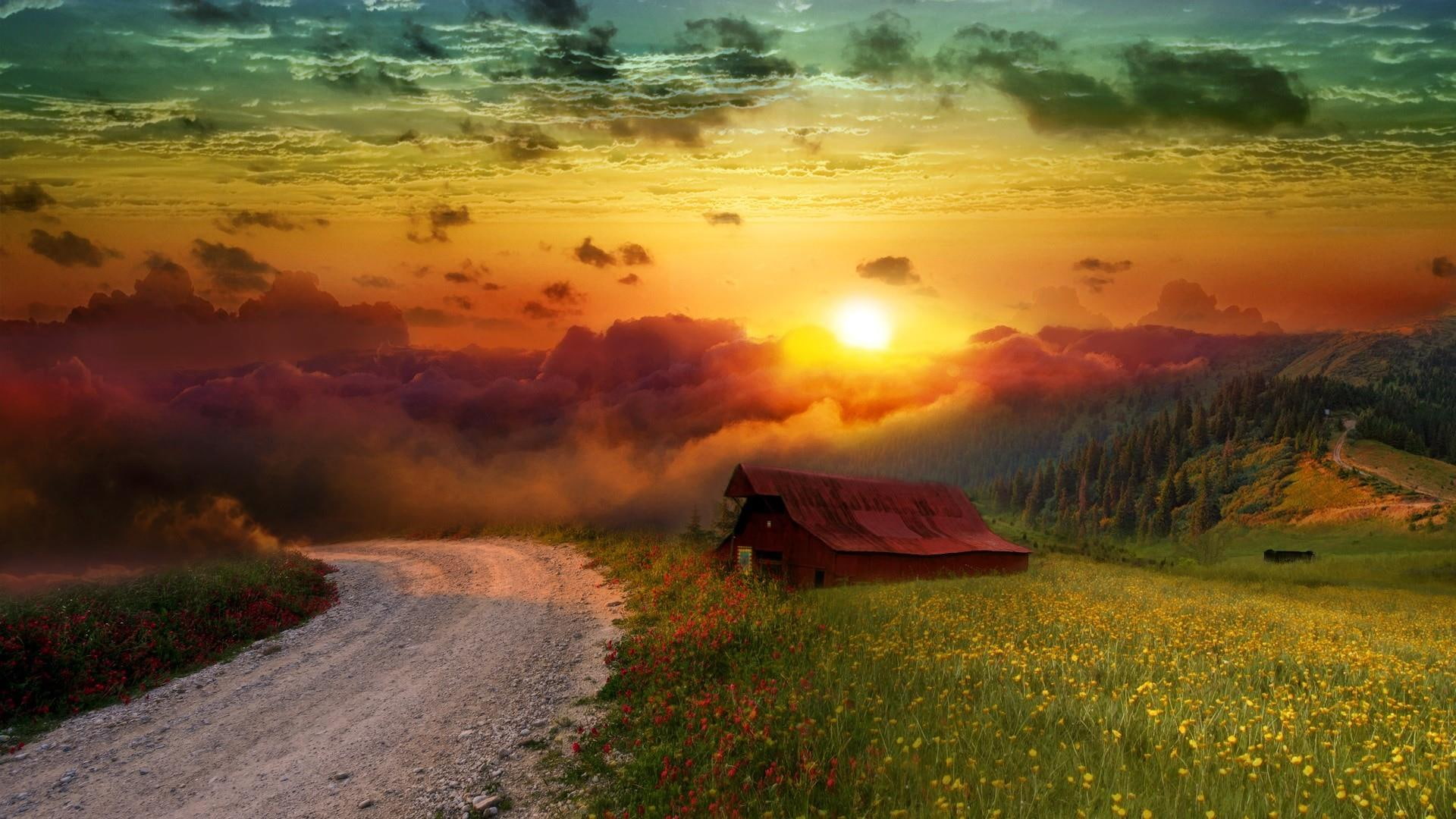 sunset, 1080P, pathway, shanty, meadow, HD Wallpaper