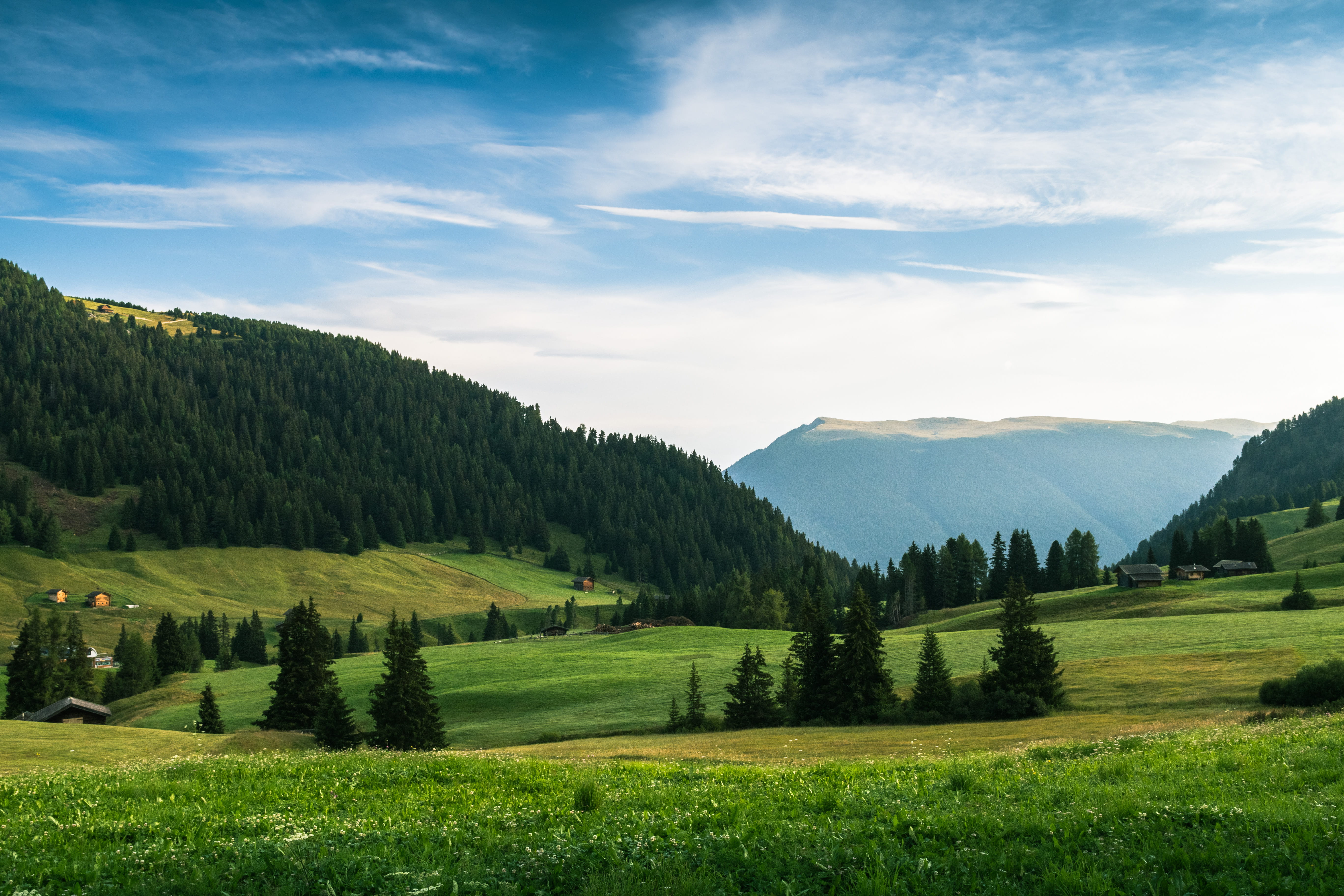 sky, tranquility, tree, plant, scenics - nature, kastelruth, beauty in nature, day, tranquil scene, seiser alm, idyllic, green color, cabins, no people, HD Wallpaper