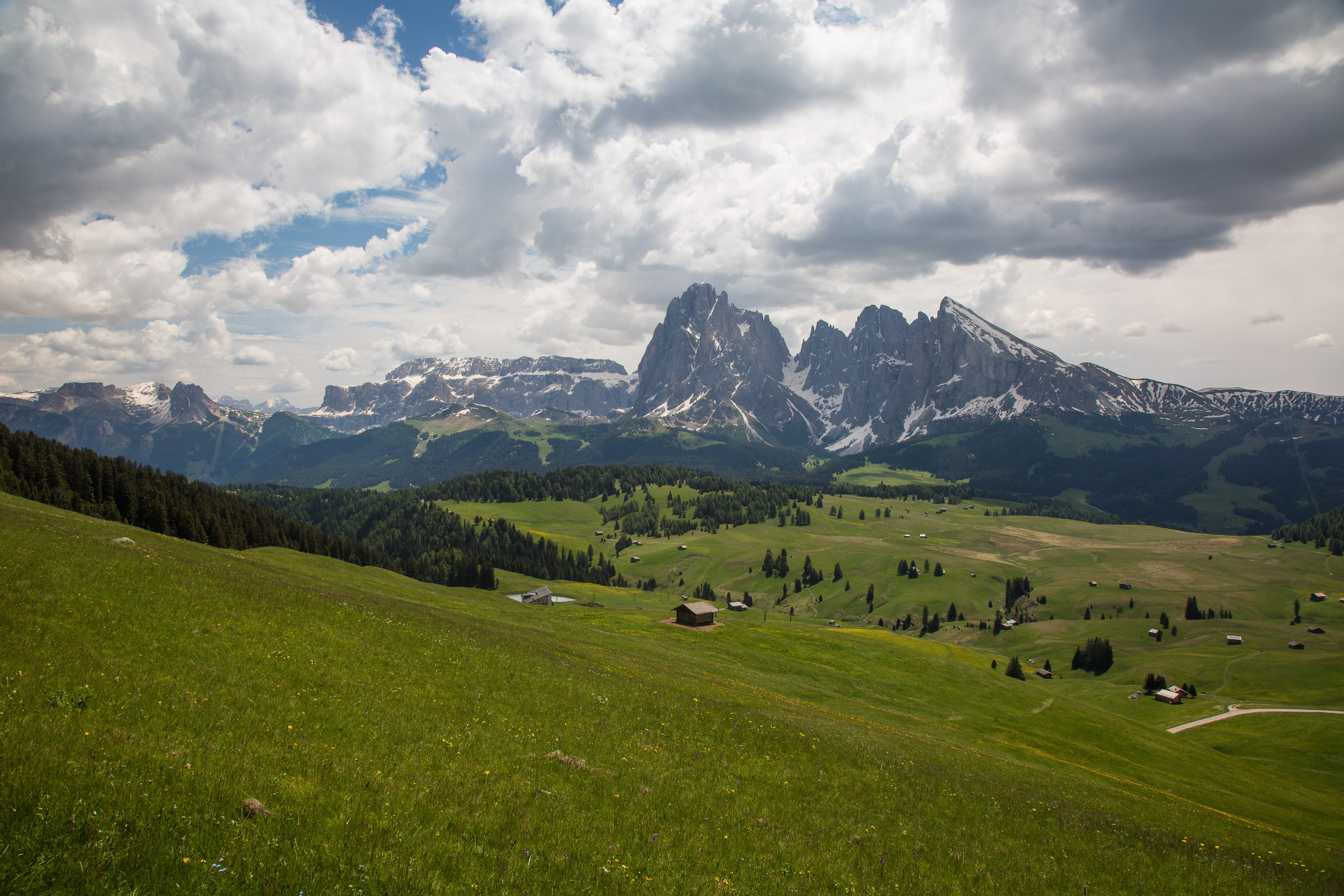 field, nature, european Alps, mountain, landscape, environment, mountain range, plant, snowcapped mountain, south tyrol, grass, scenics - nature, green Color, HD Wallpaper