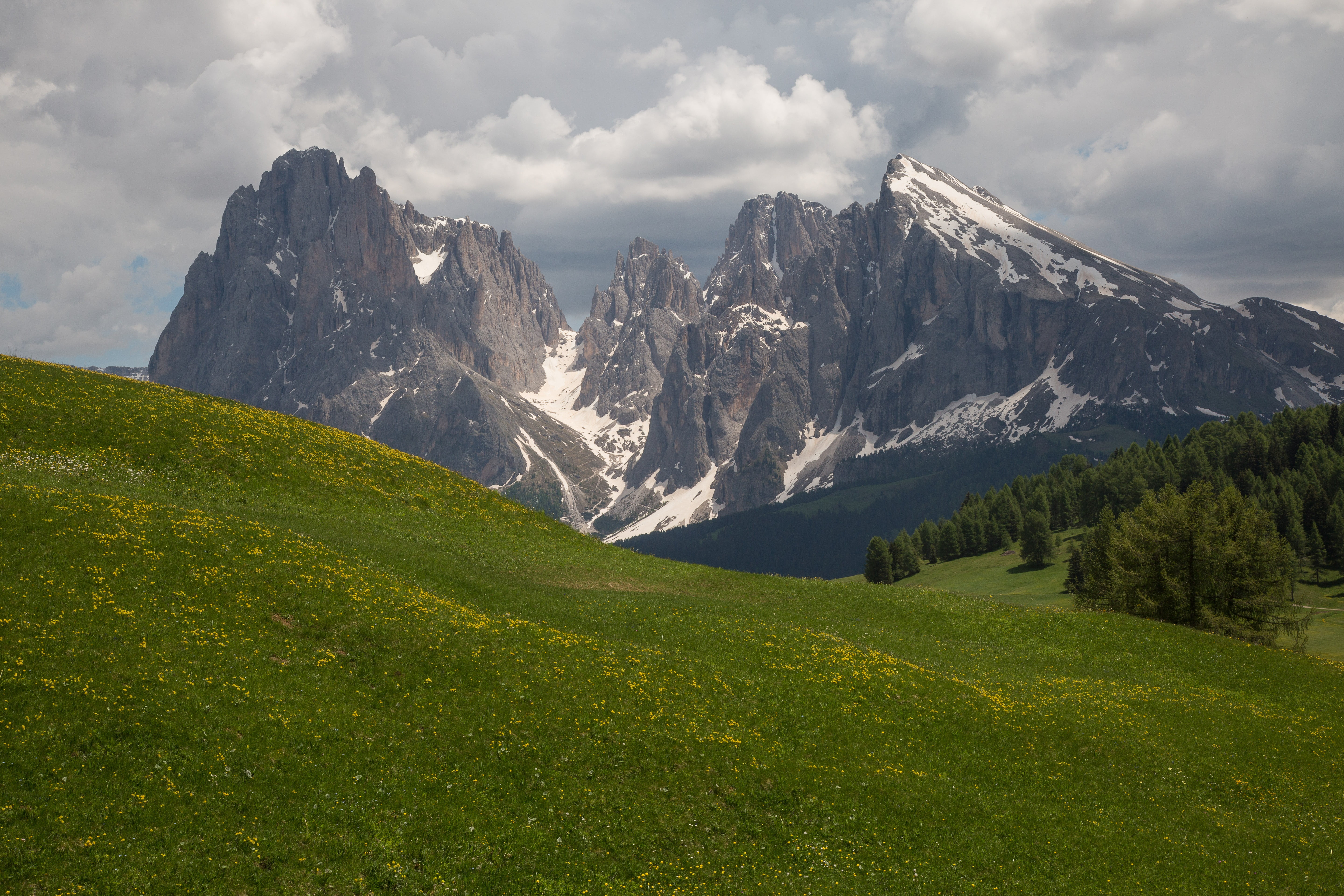 plant, nature, no people, environment, landscape, seiser alm, grass, panorama, land, scenics - nature, mountain, outdoors, cloud - sky, snow, mountains, HD Wallpaper