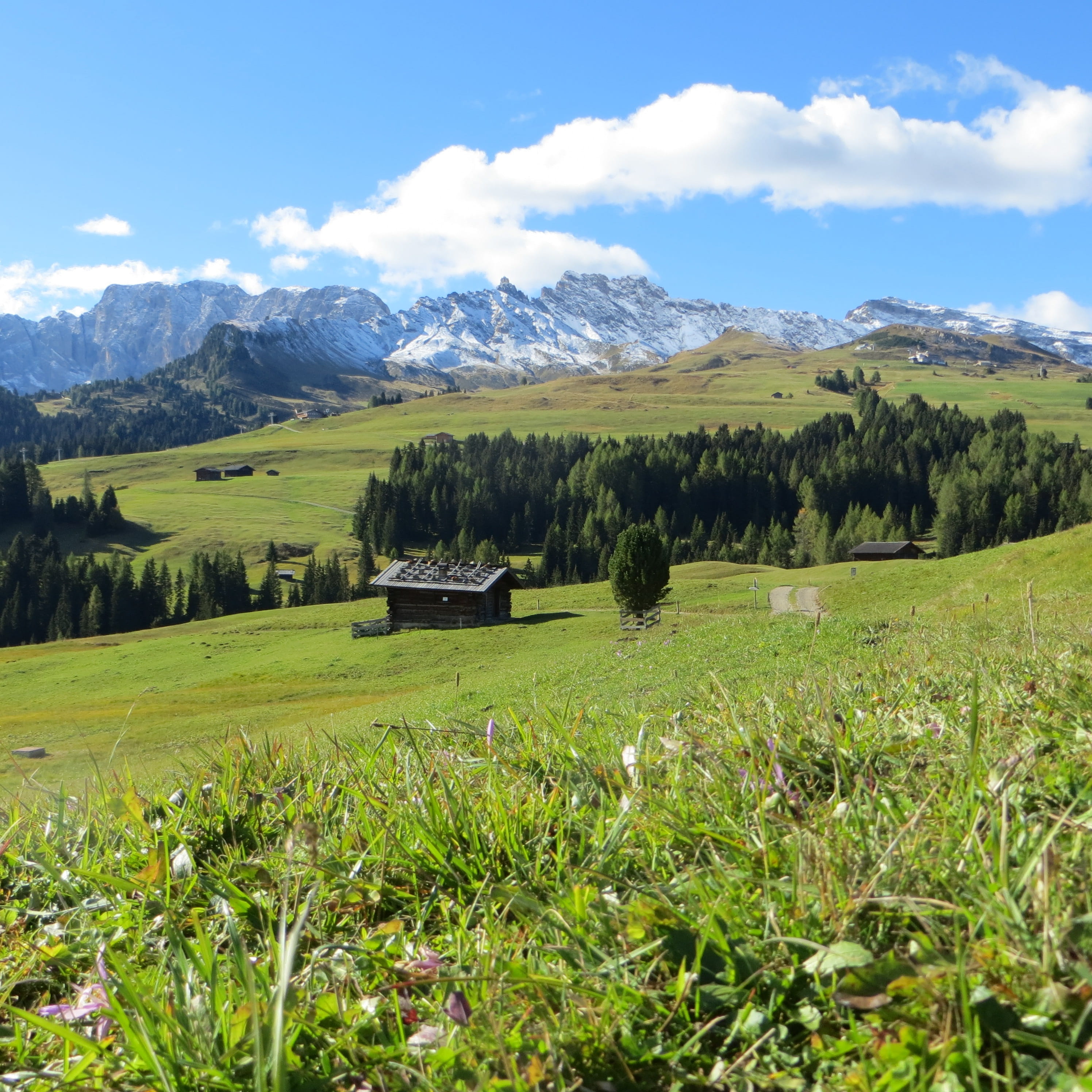 South Tyrol, mountain, rural scene, grass, day, cloud - sky, beauty in nature, outdoors, agriculture, farm, land, 2K, no people, scenics - nature, mountain peak, Phone HD Wallpaper