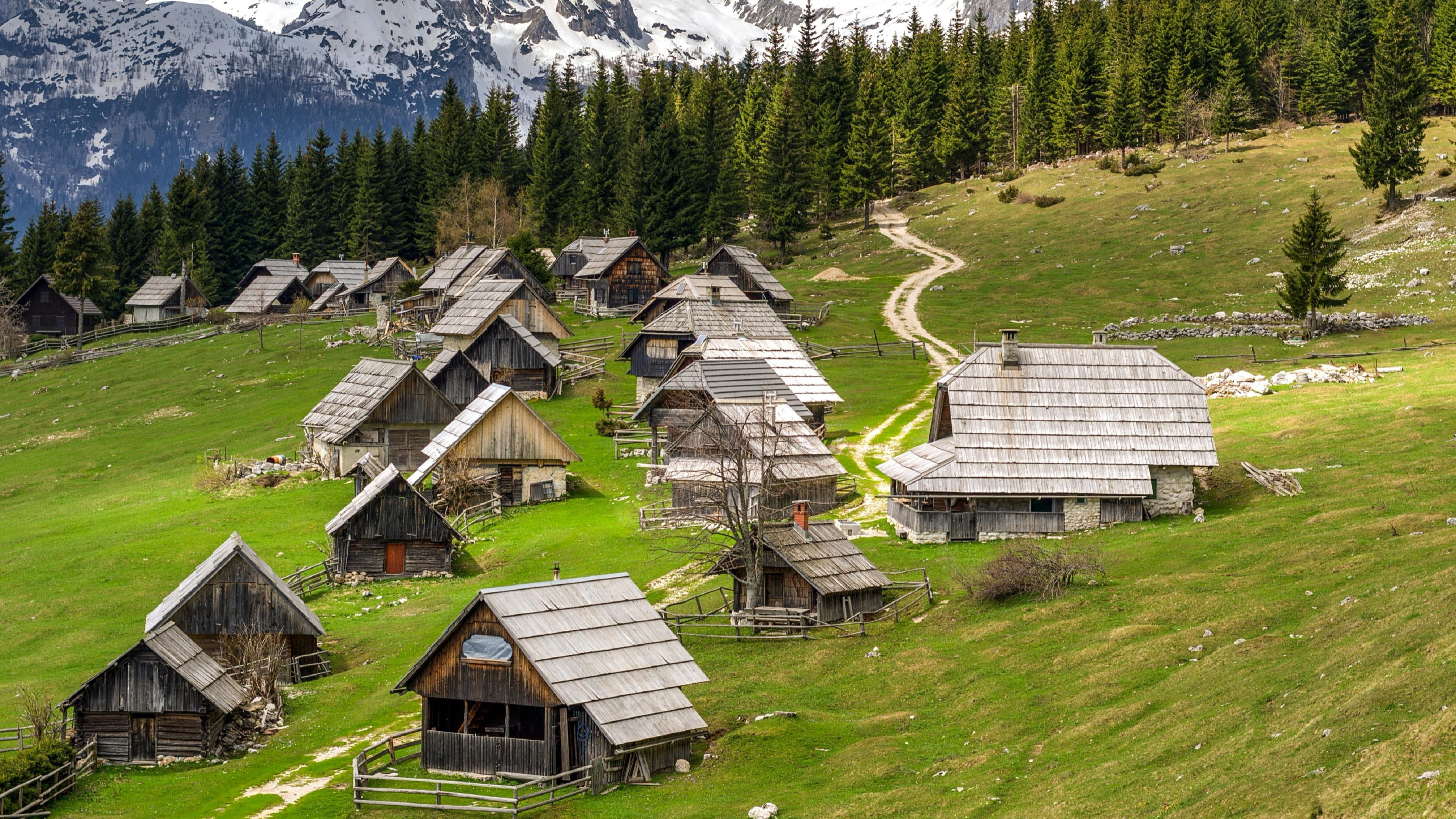 pokljuka plateau, 4K, no people, nature, julian alps, high angle view, green color, beauty in nature, day, national park, wood - material, tree, building, HD Wallpaper