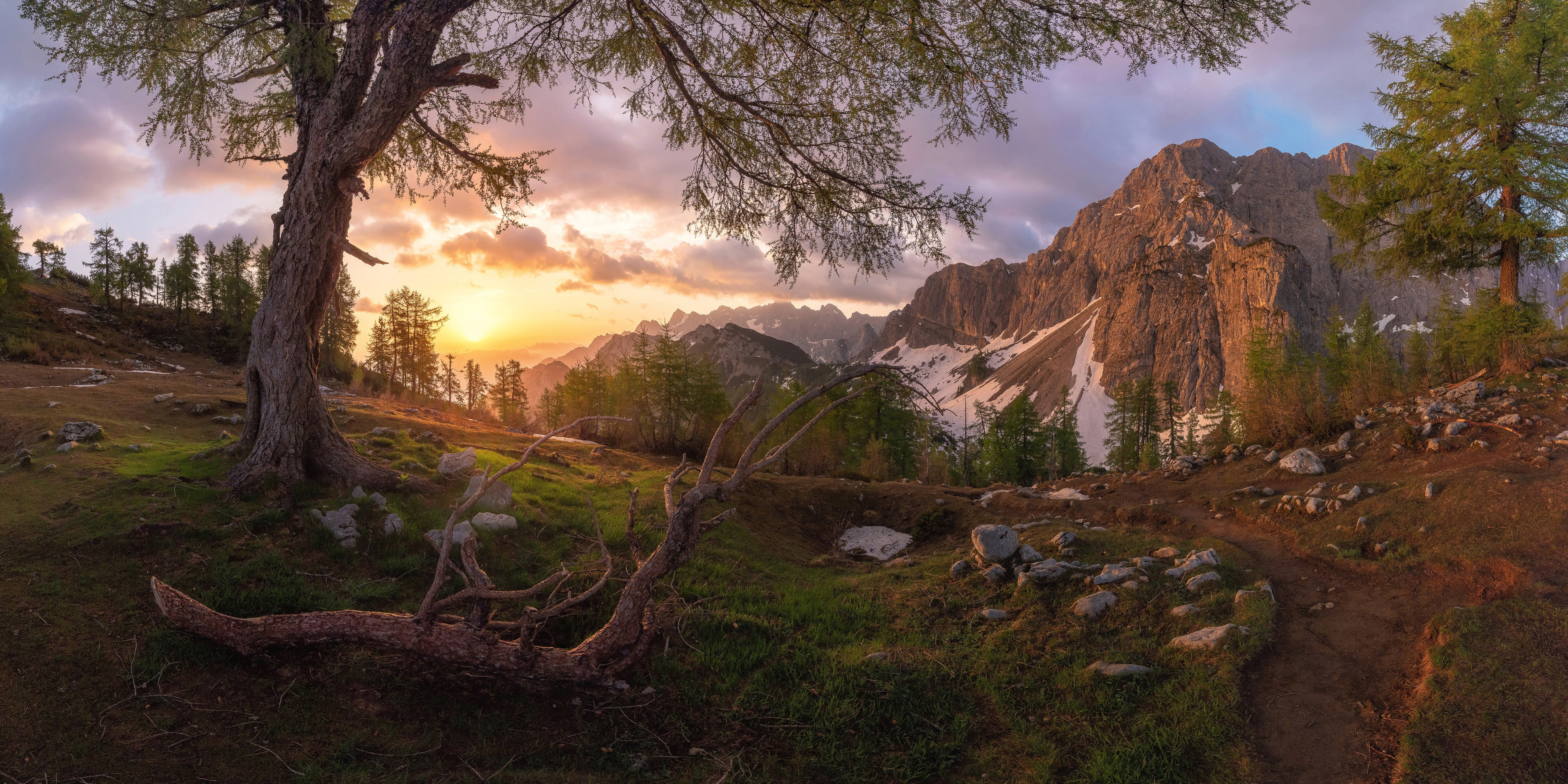 trees, Julian Alps, stones, Slemenova Špica Plateau, The Julian Alps, Slovenia, valley, mountains, snag, 4K, HD Wallpaper