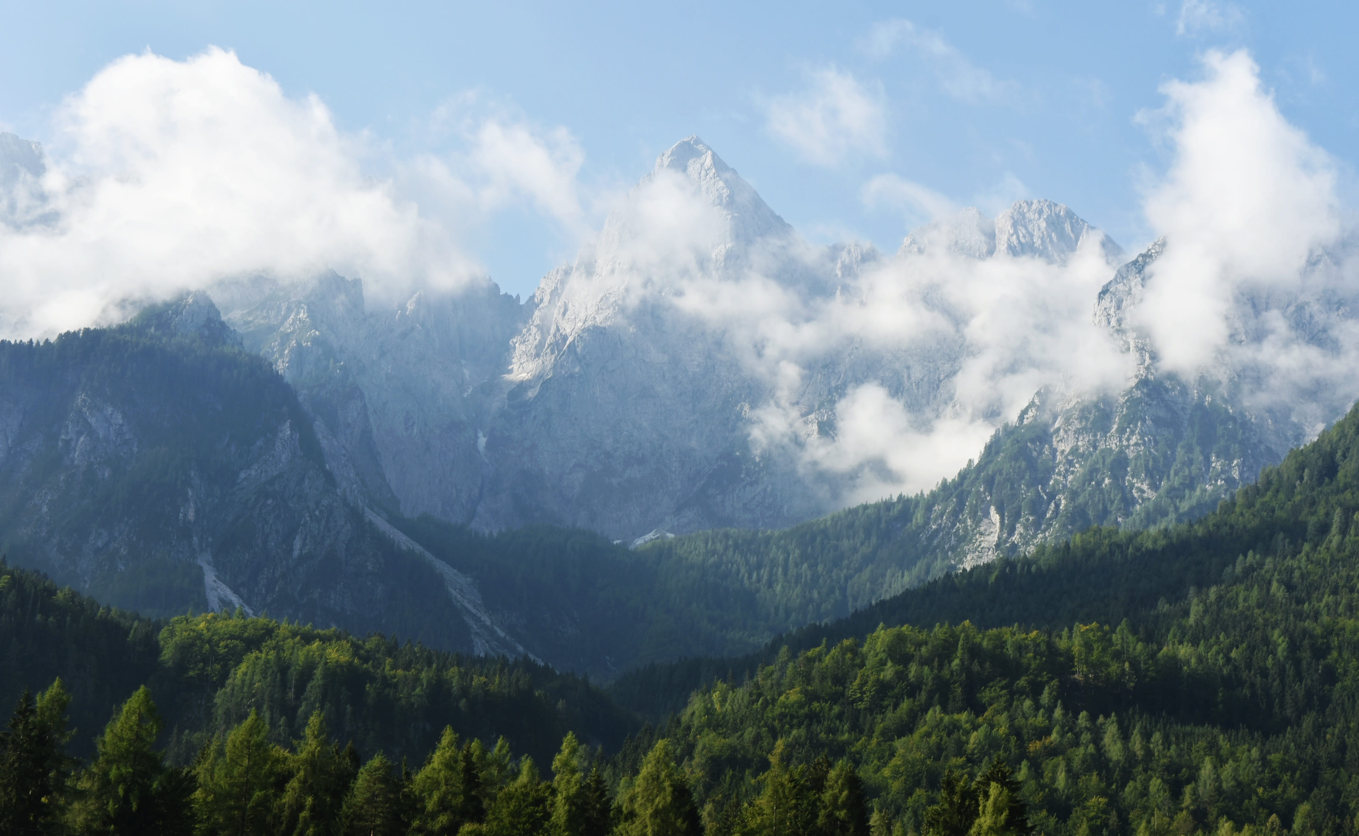 tree, environment, 4K, rock, green color, landscape, mountains, mountain, mountaineering, scenery, panorama, mountain peak, alps, idyllic, europe, adventure, HD Wallpaper