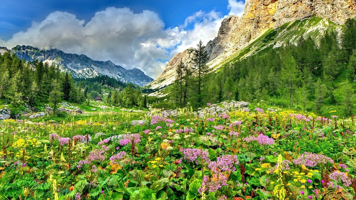 Meadow, Landscape, Julian Alps, Mountain, Nature, Slovenia, 720P, Earth, Spring, HD Wallpaper