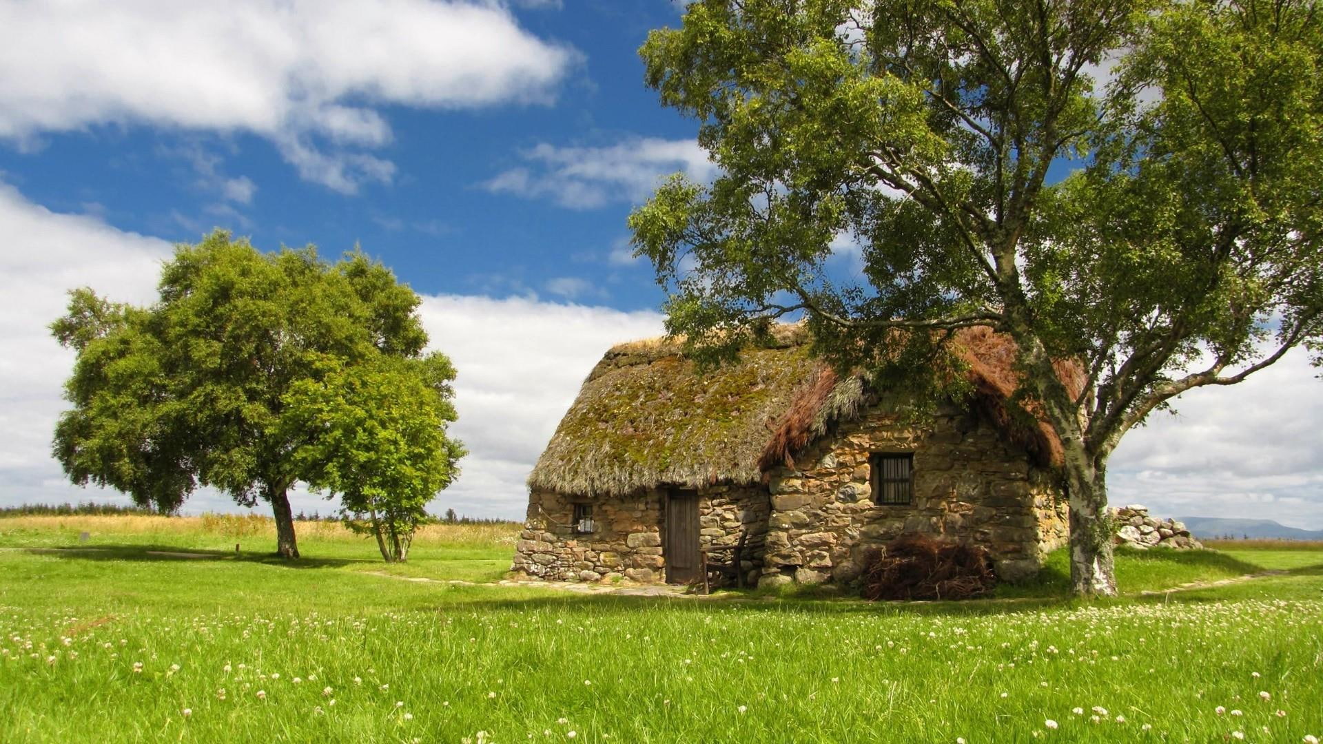 shanty, cottage, sky, house, field, 1080P, tree, grass, small cottage, HD Wallpaper