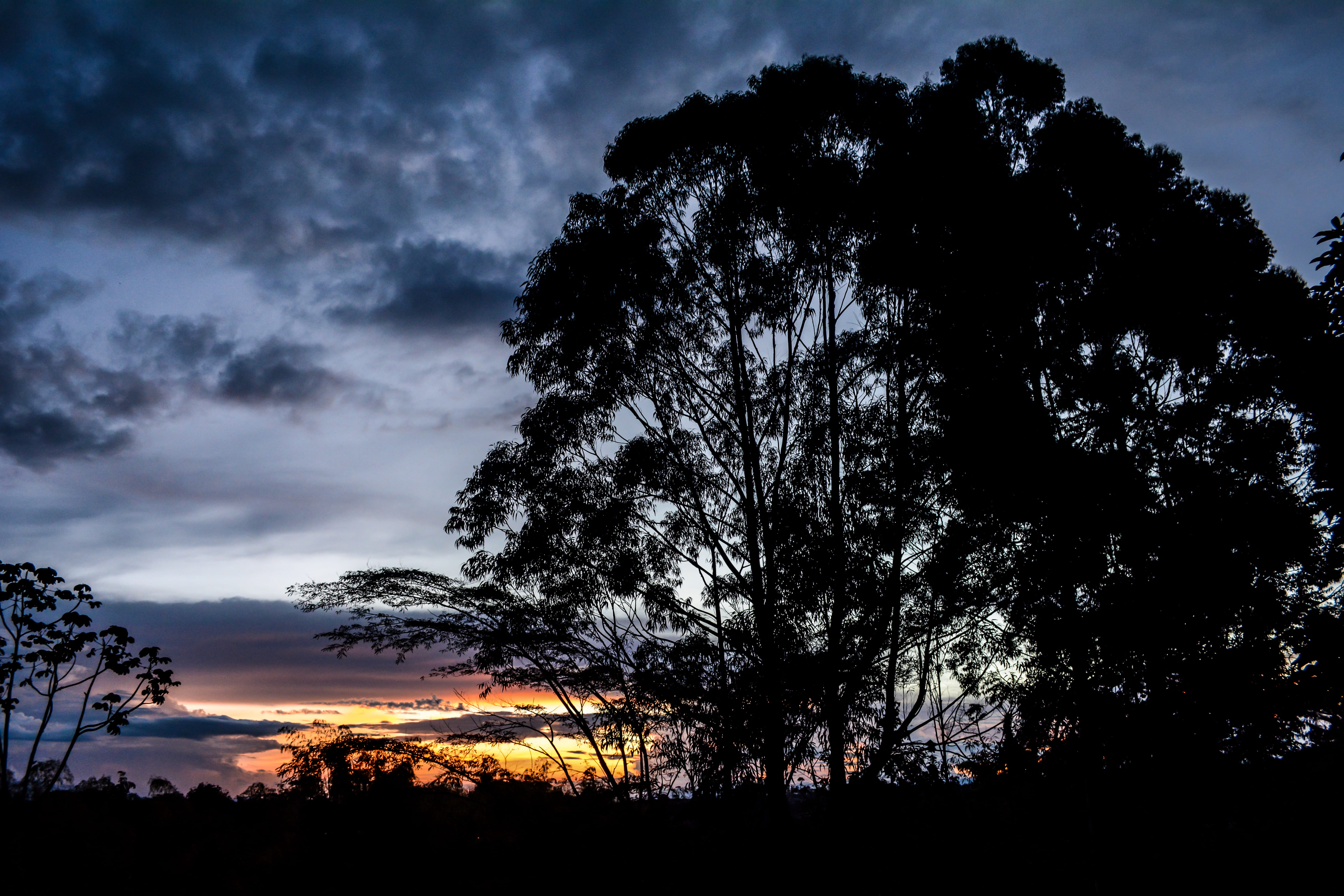 beauty in nature, land, idyllic, colombia, environment, scenics - nature, tranquil scene, 5K, clouds, growth, trees, nature, dusk, plant, cloud - sky, HD Wallpaper