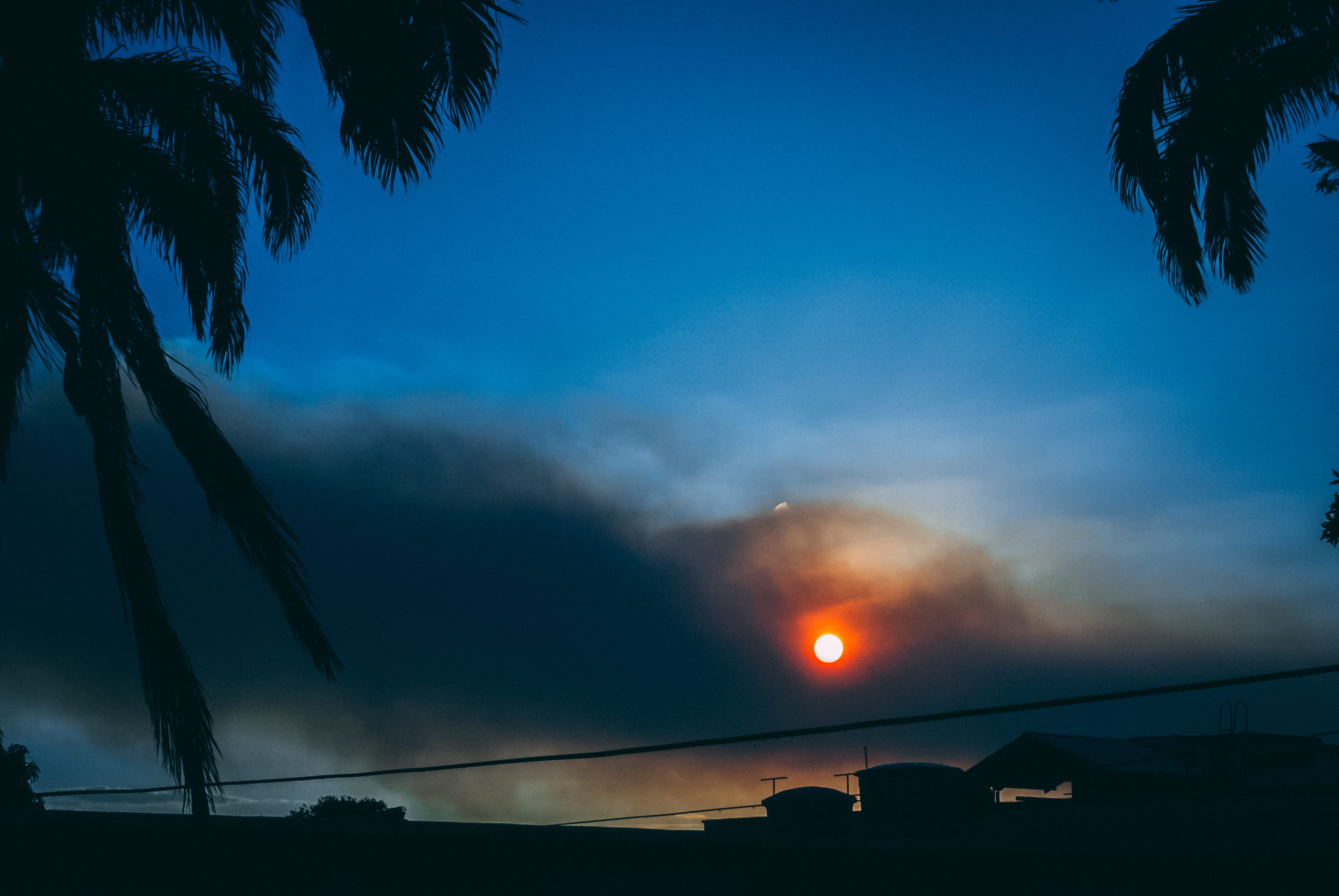 plant, tree, shadow, no people, built structure, orange, scape, chill, sun, pollution, cloud - sky, 4K, transportation, blue, cloudy, illuminated, HD Wallpaper