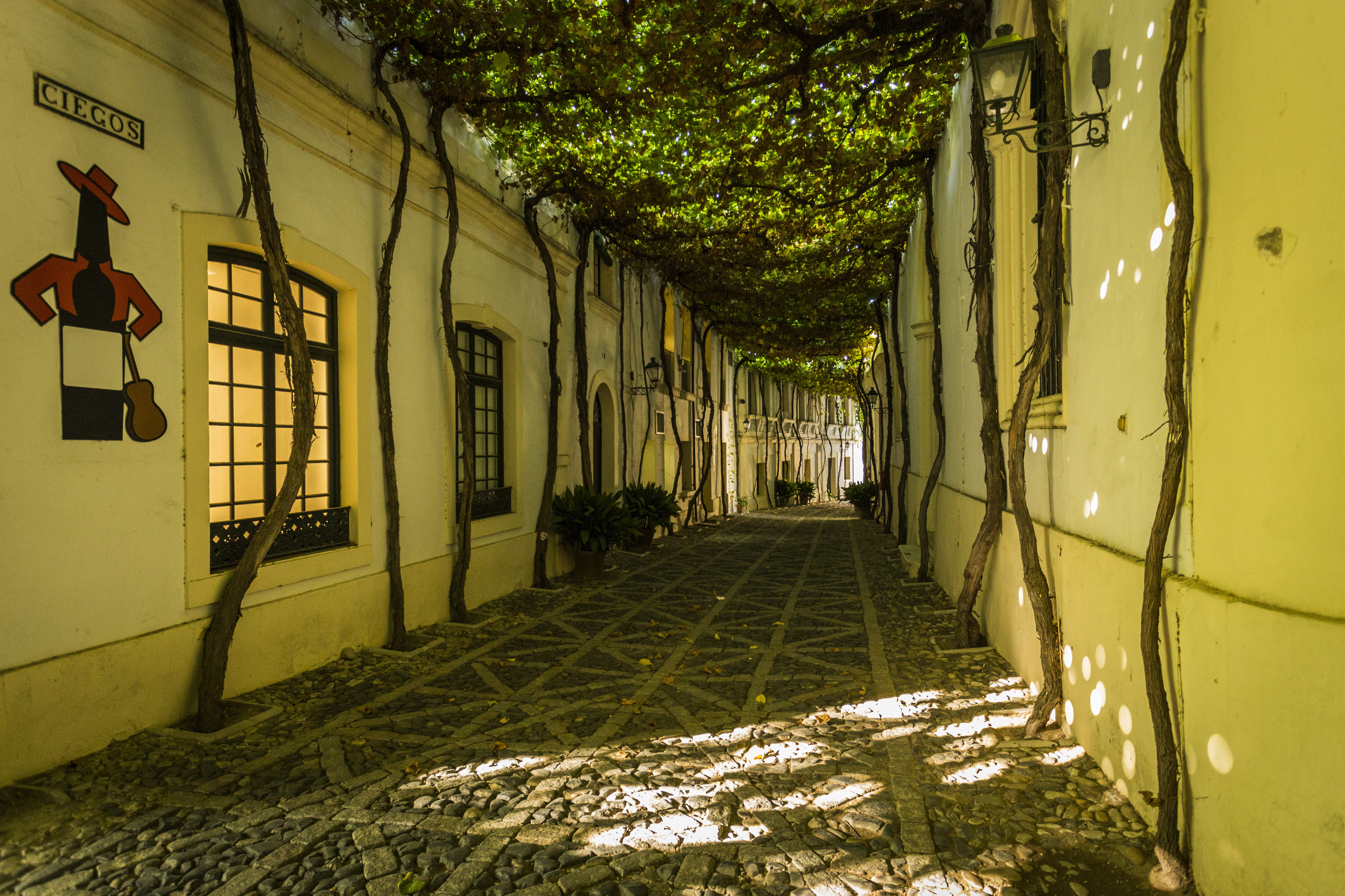 sunlight, cold temperature, the way forward, built structure, outdoors, footpath, plant, tiopepe, spain, 5K, yellow, nature, tree, cities, lighting equipment, HD Wallpaper